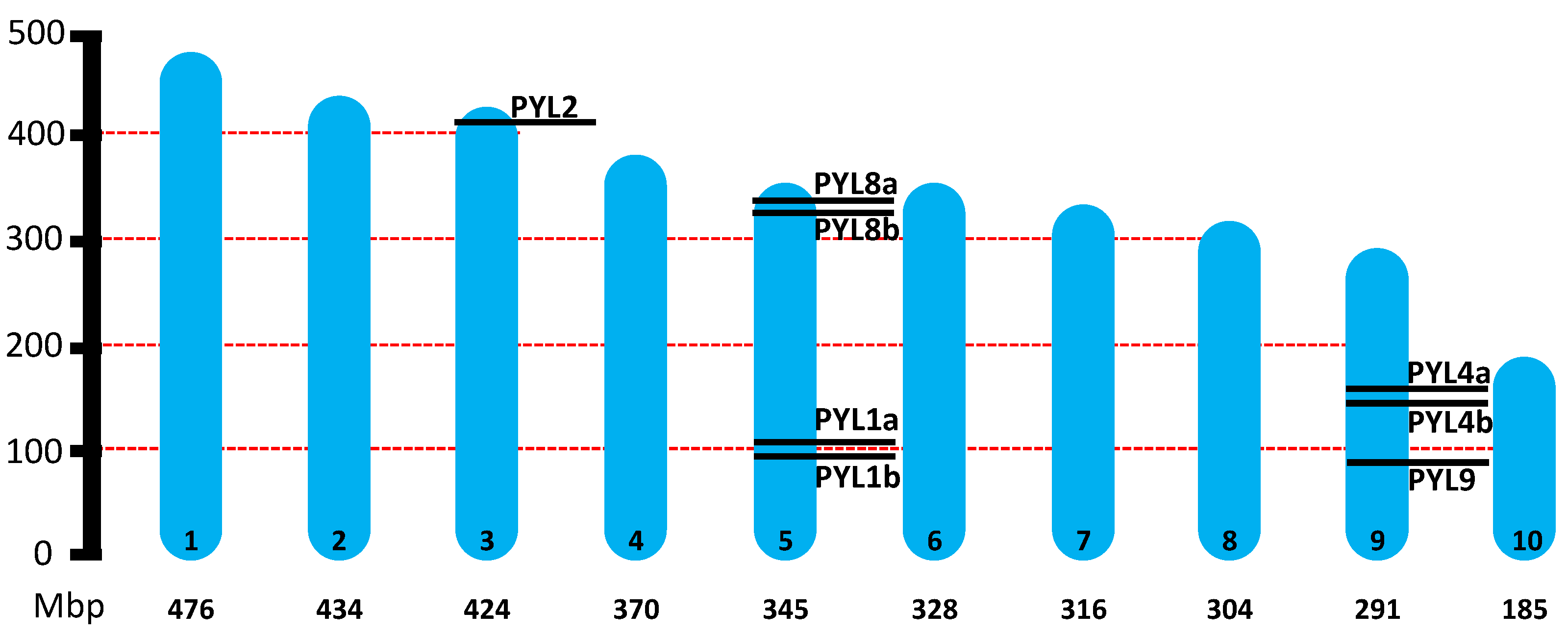 Preprints 161459 g001