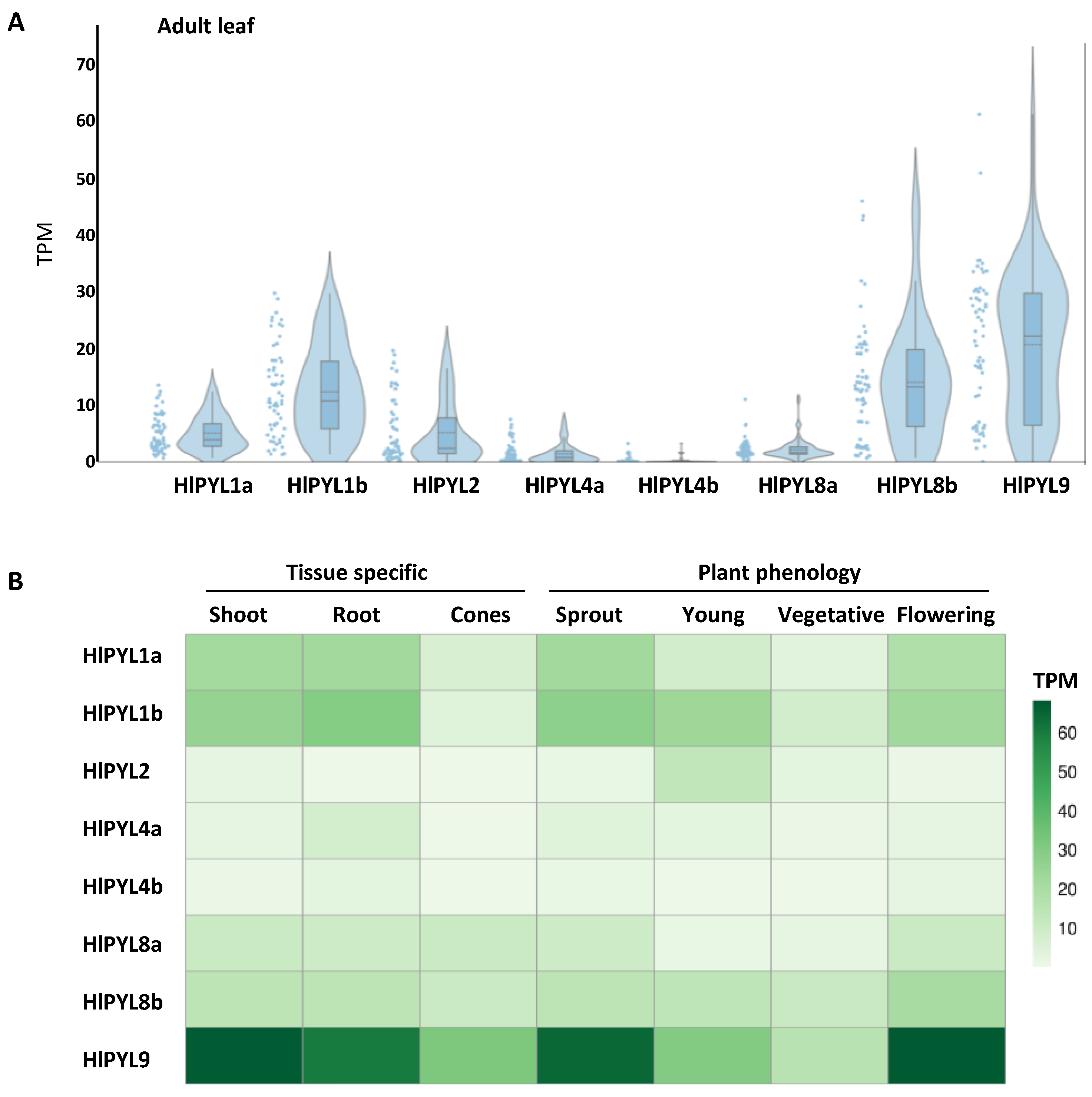 Preprints 161459 g003