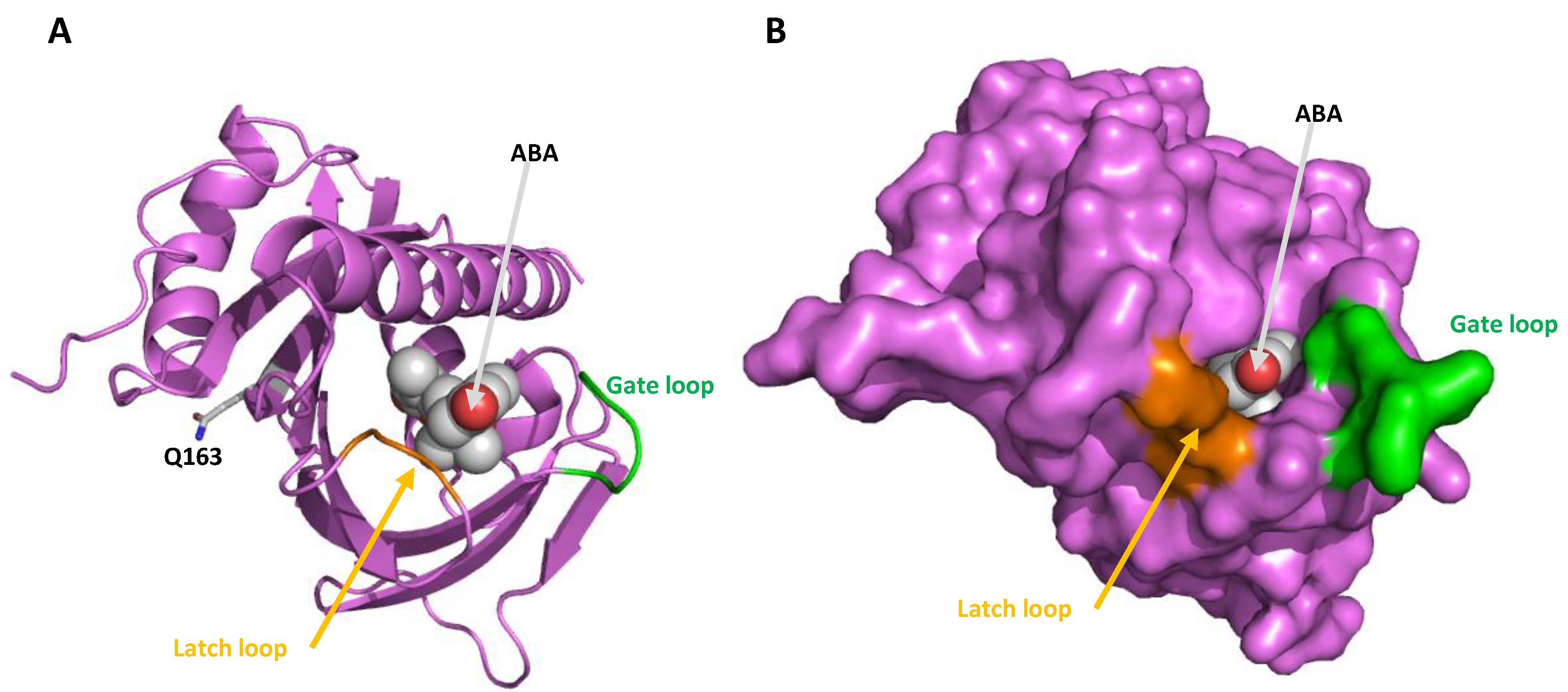 Preprints 161459 g005