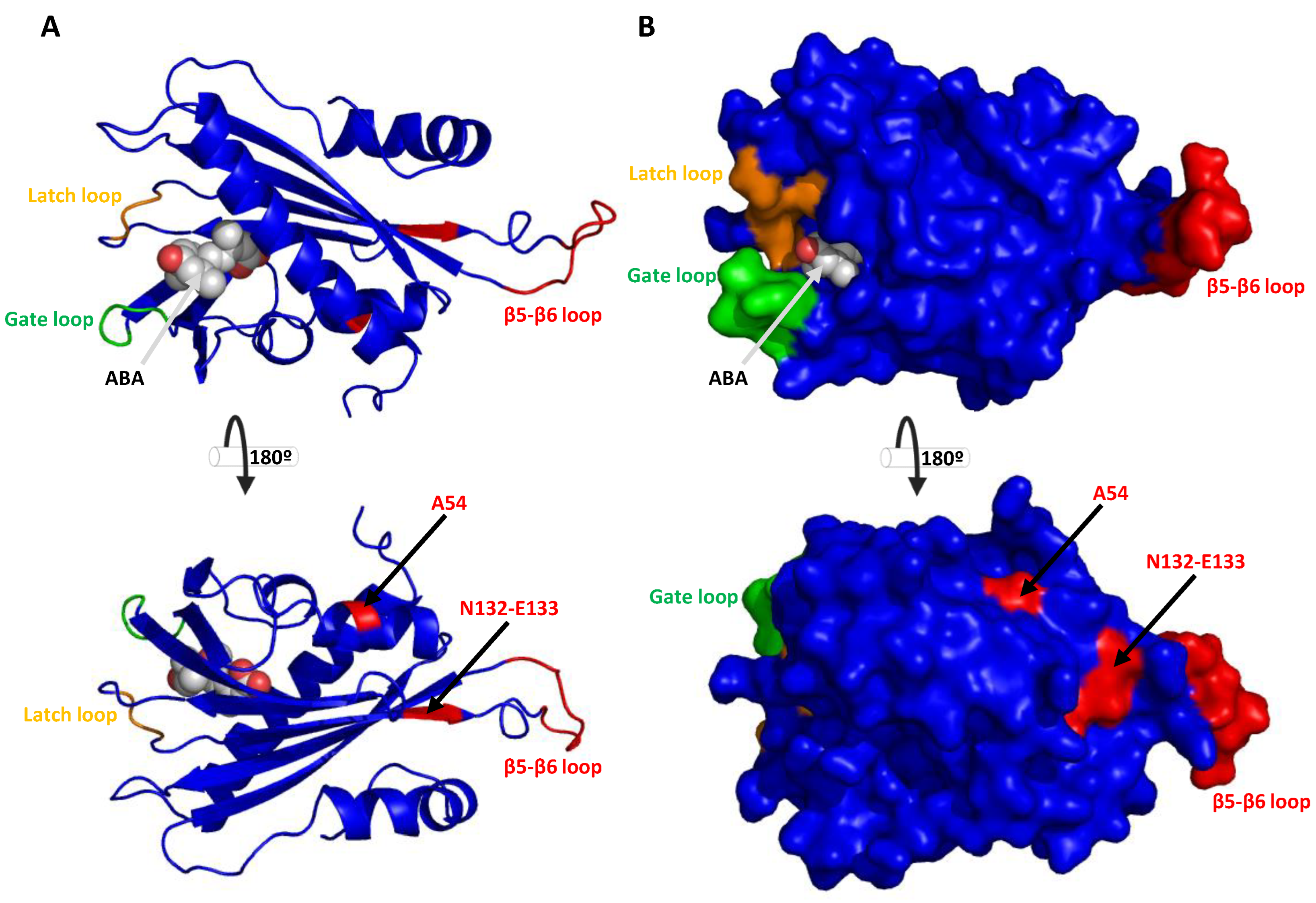 Preprints 161459 g006