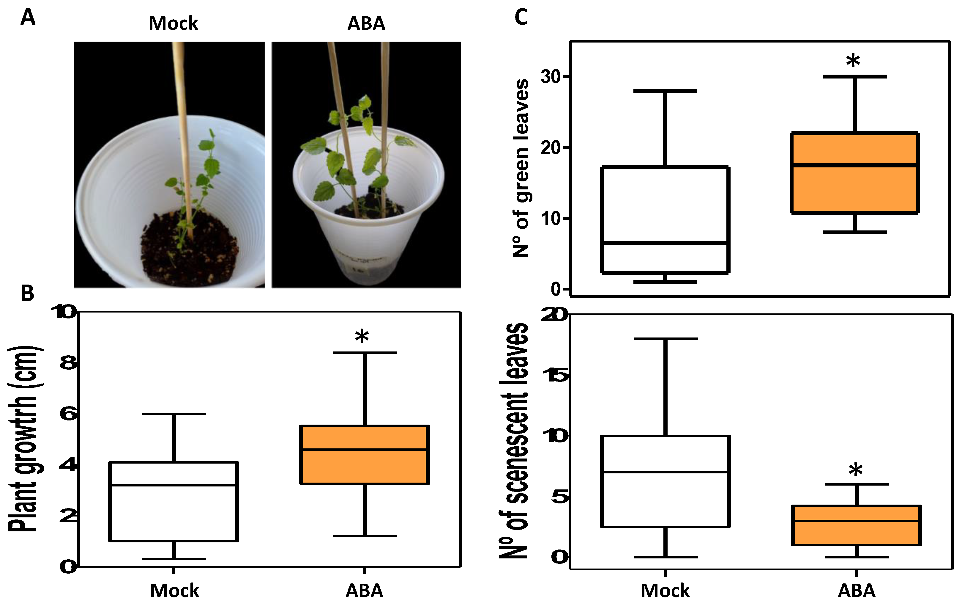 Preprints 161459 g007