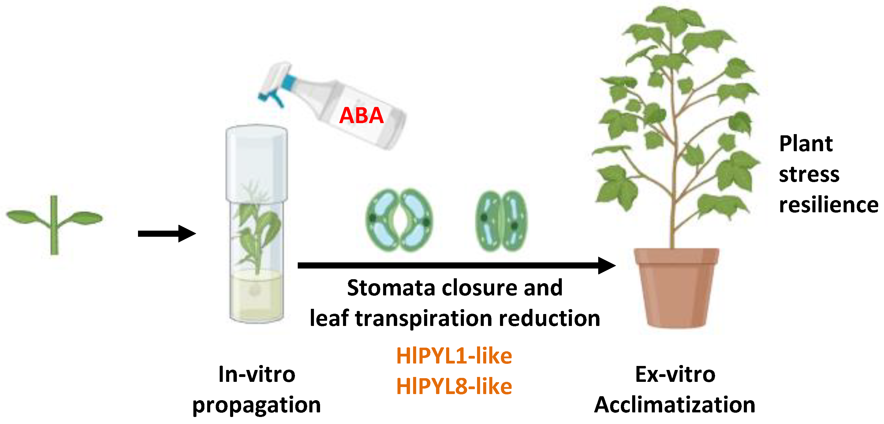 Preprints 161459 g009