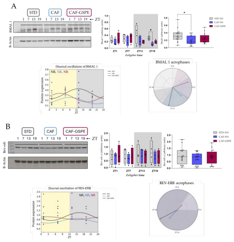Preprints 208760 g001