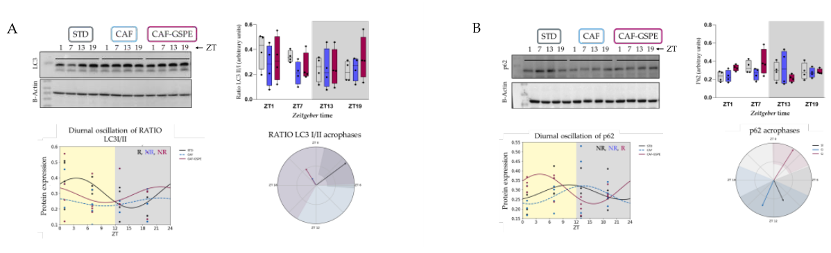 Preprints 208760 g002