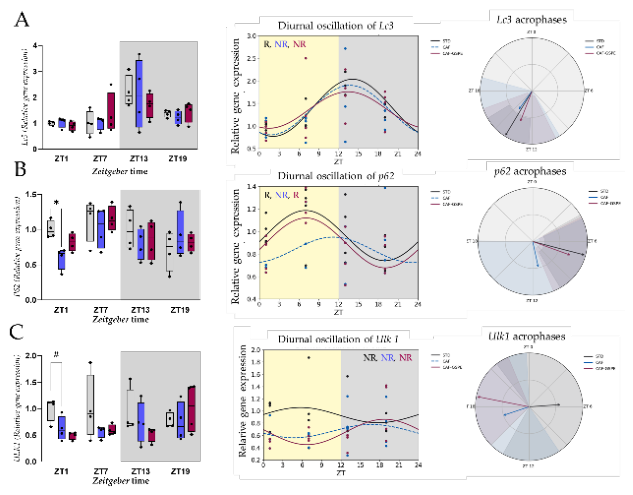 Preprints 208760 g003