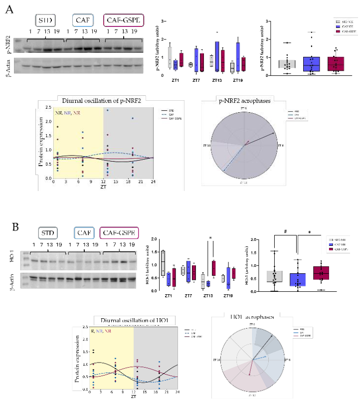 Preprints 208760 g004