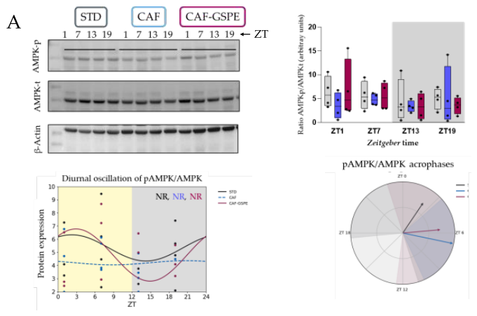 Preprints 208760 g005