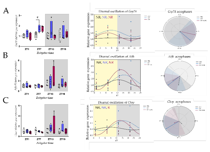 Preprints 208760 g006