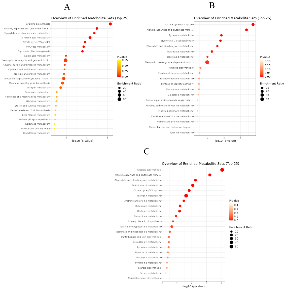 Preprints 208760 g008