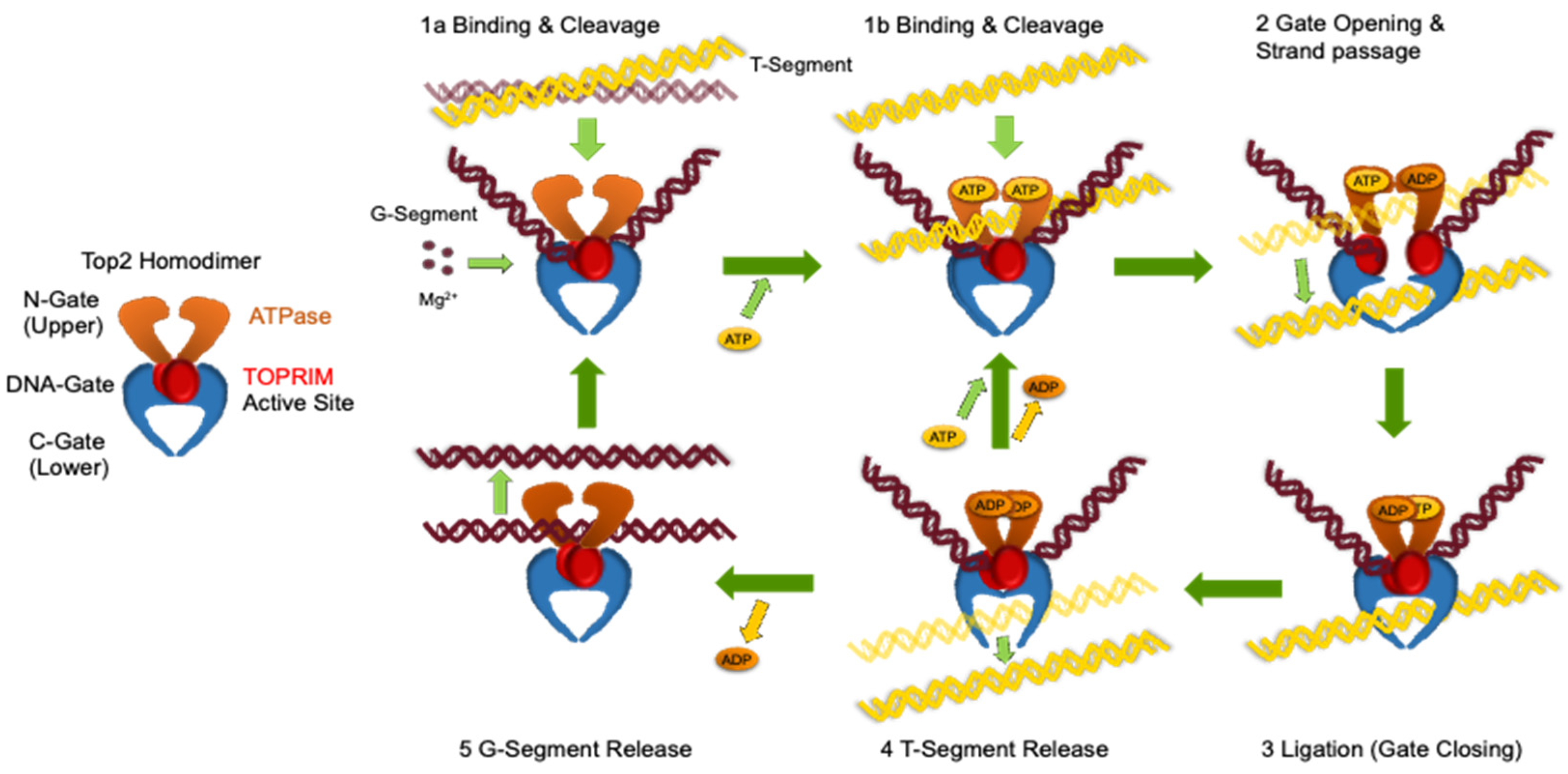 Preprints 235198 g001 Preprints 235198 g001