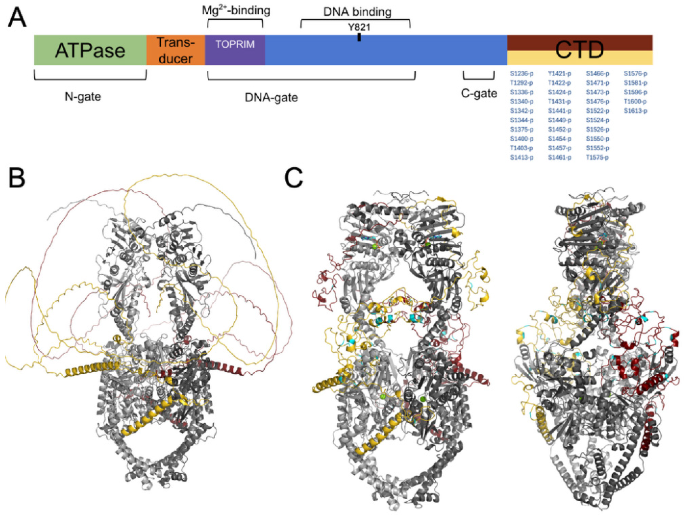 Preprints 235198 g002 Preprints 235198 g002