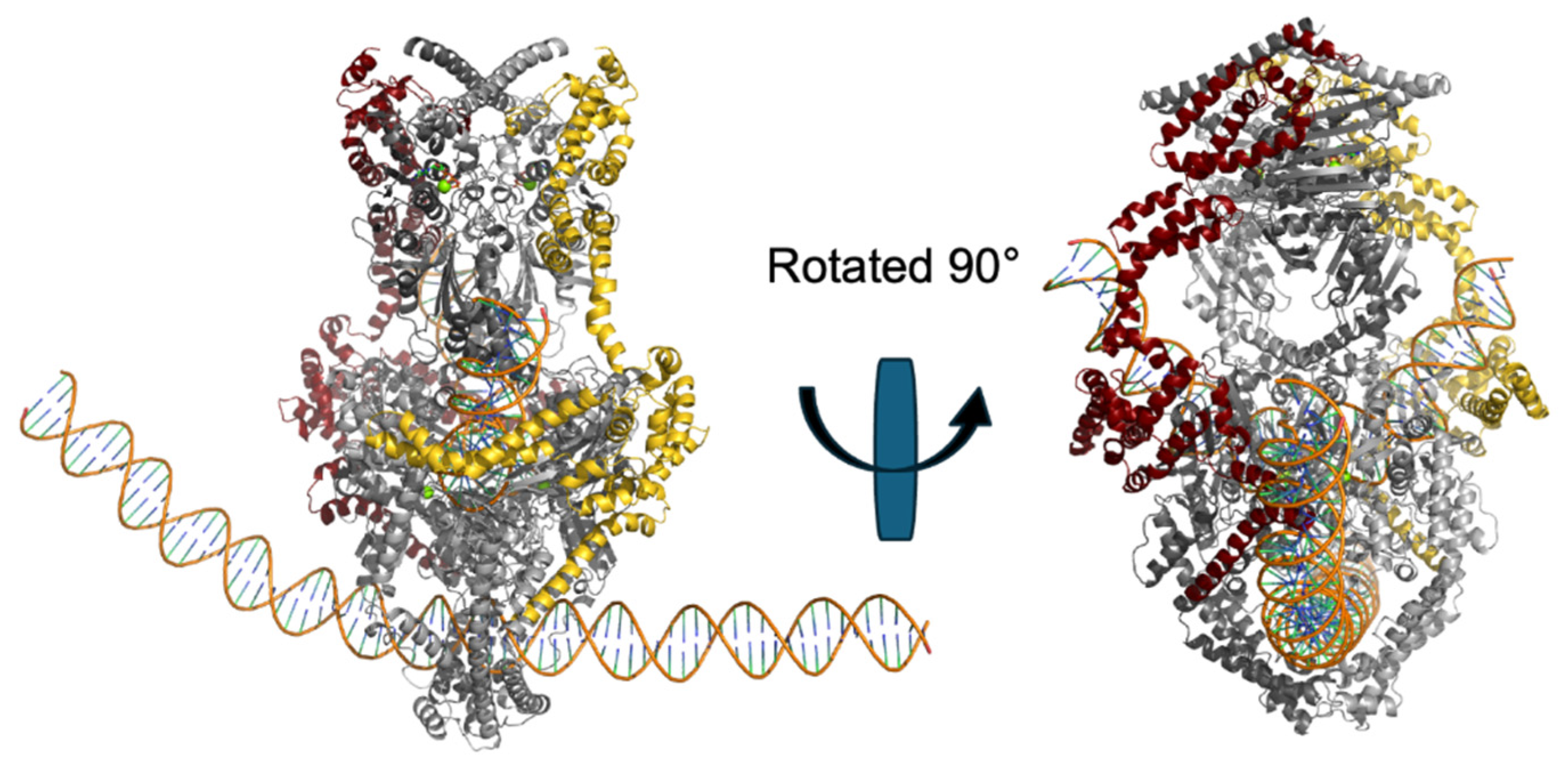 Preprints 235198 g004 Preprints 235198 g004