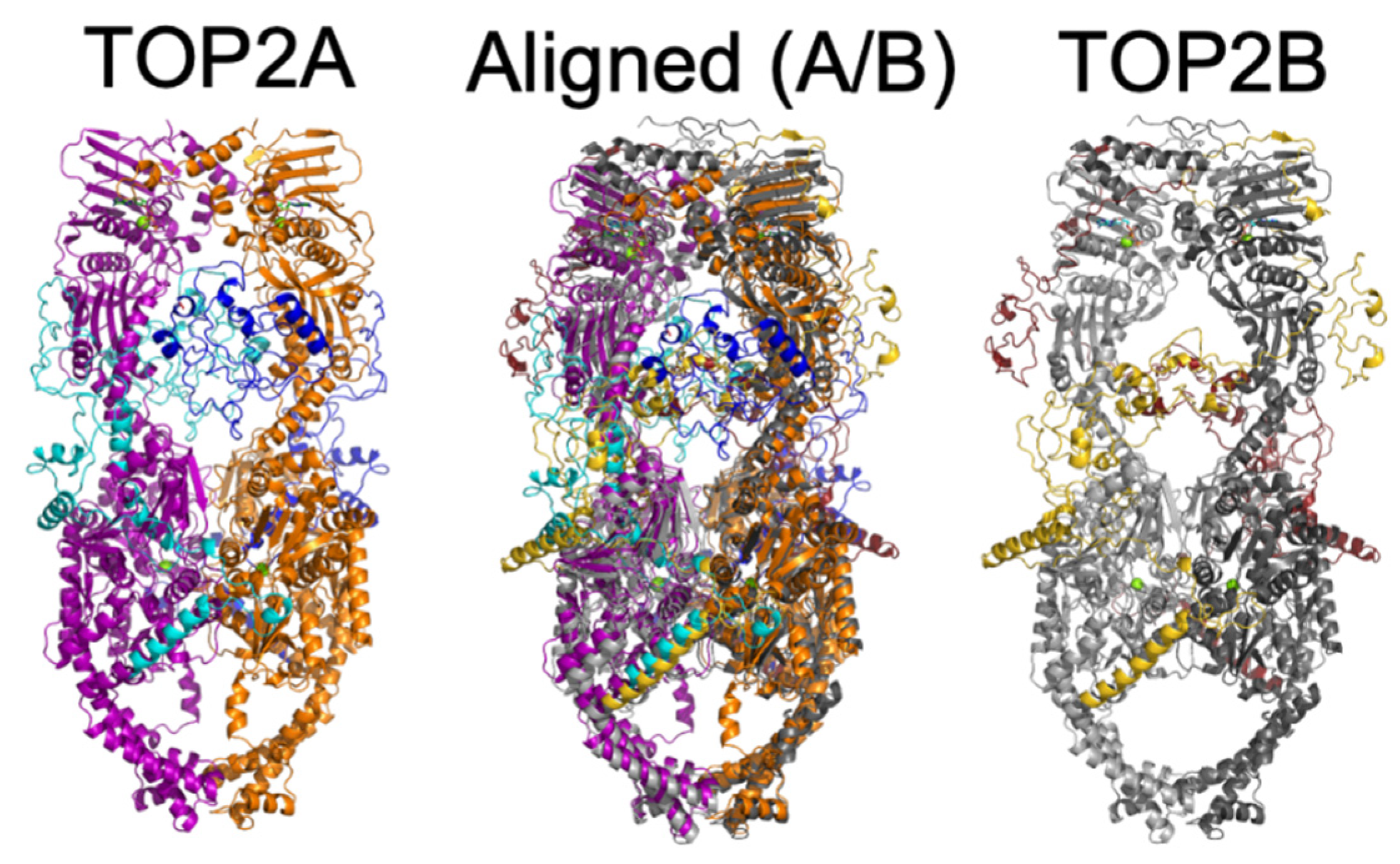 Preprints 235198 g008 Preprints 235198 g008