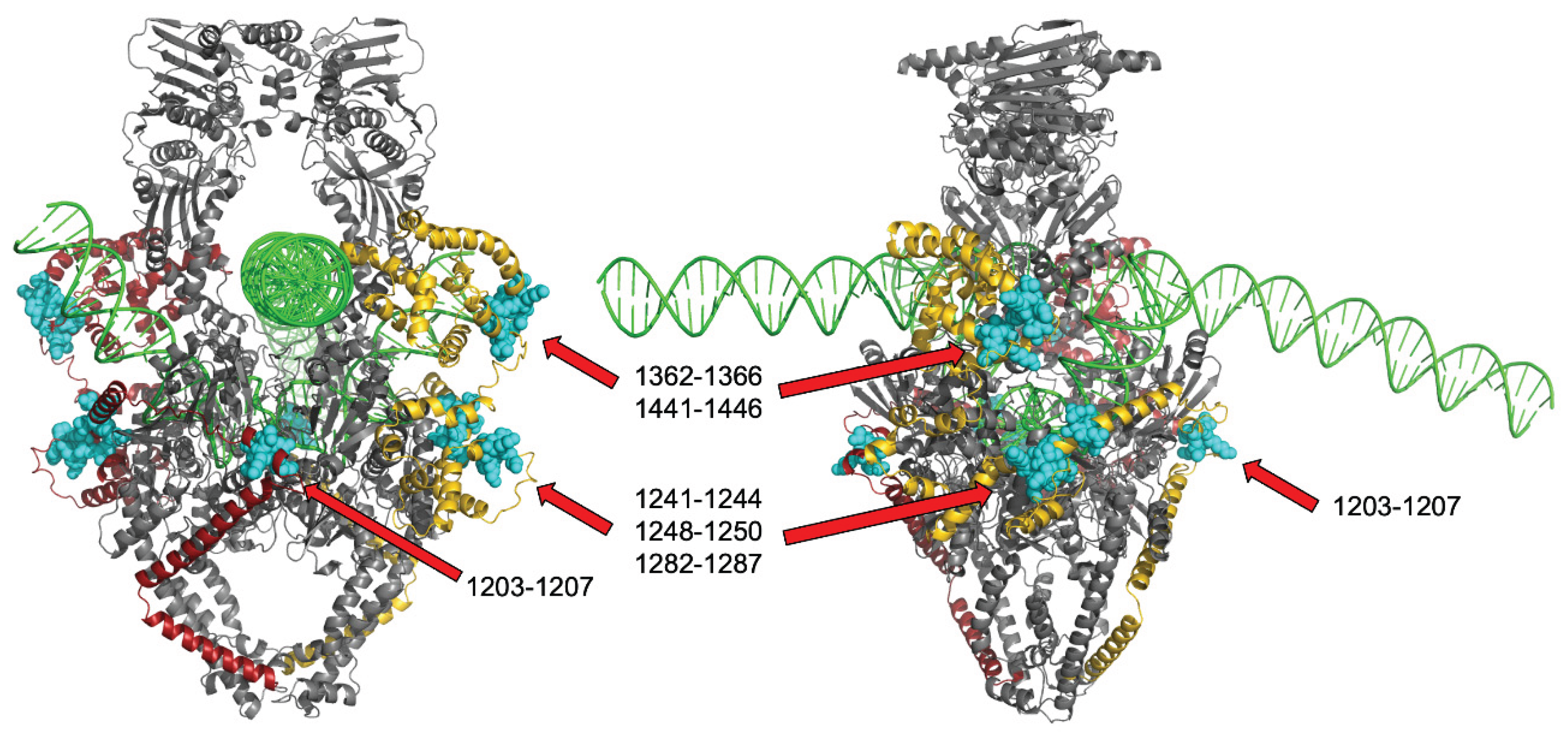Preprints 235198 g011 Preprints 235198 g011