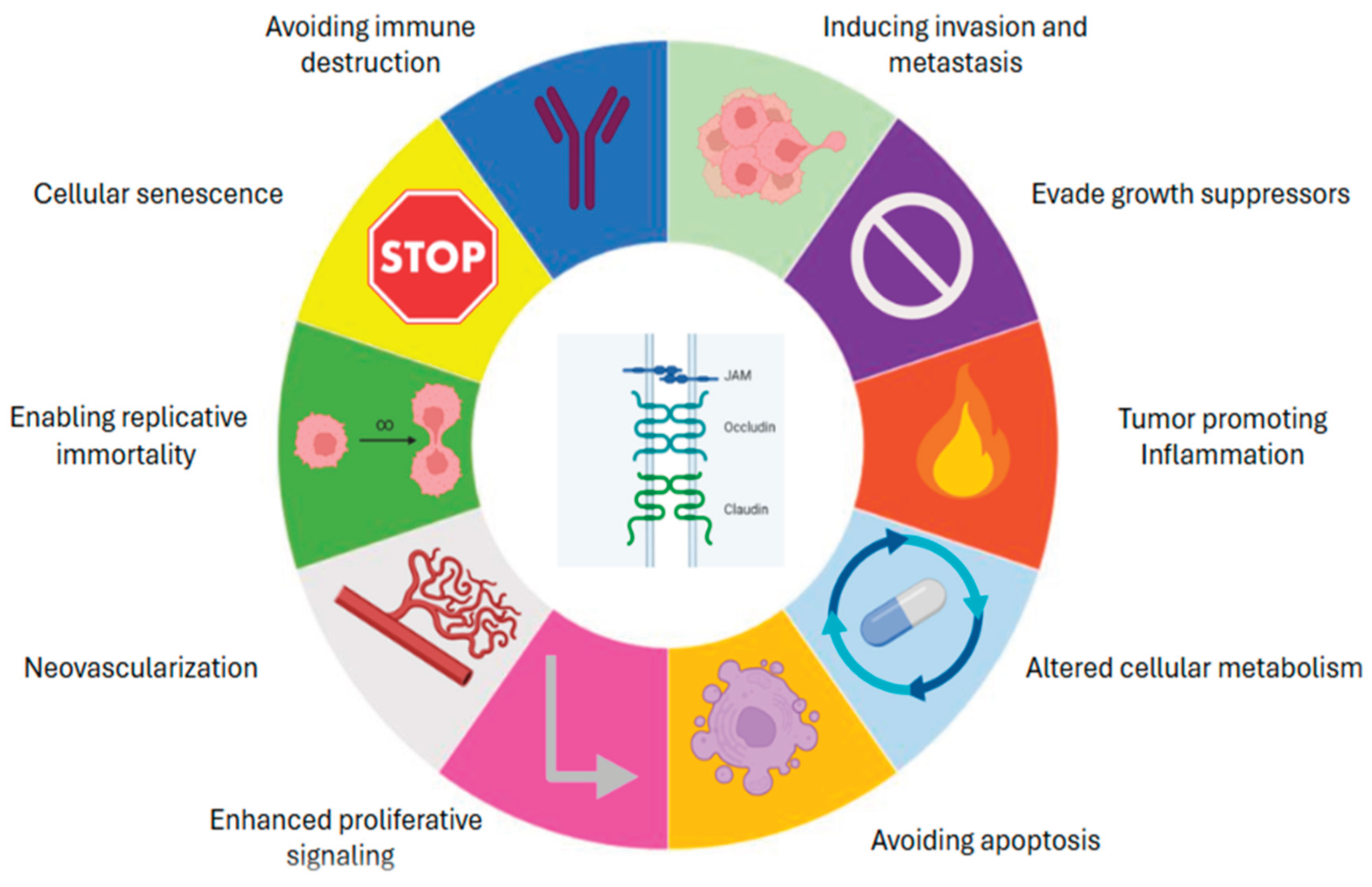 Preprints 194013 g001