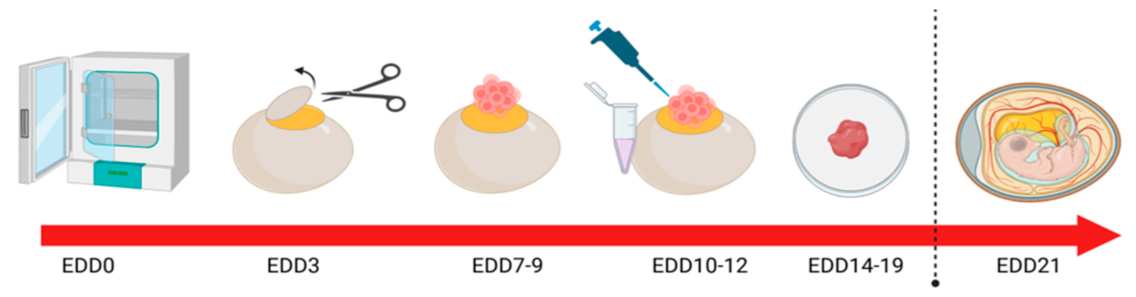 Preprints 194013 g002