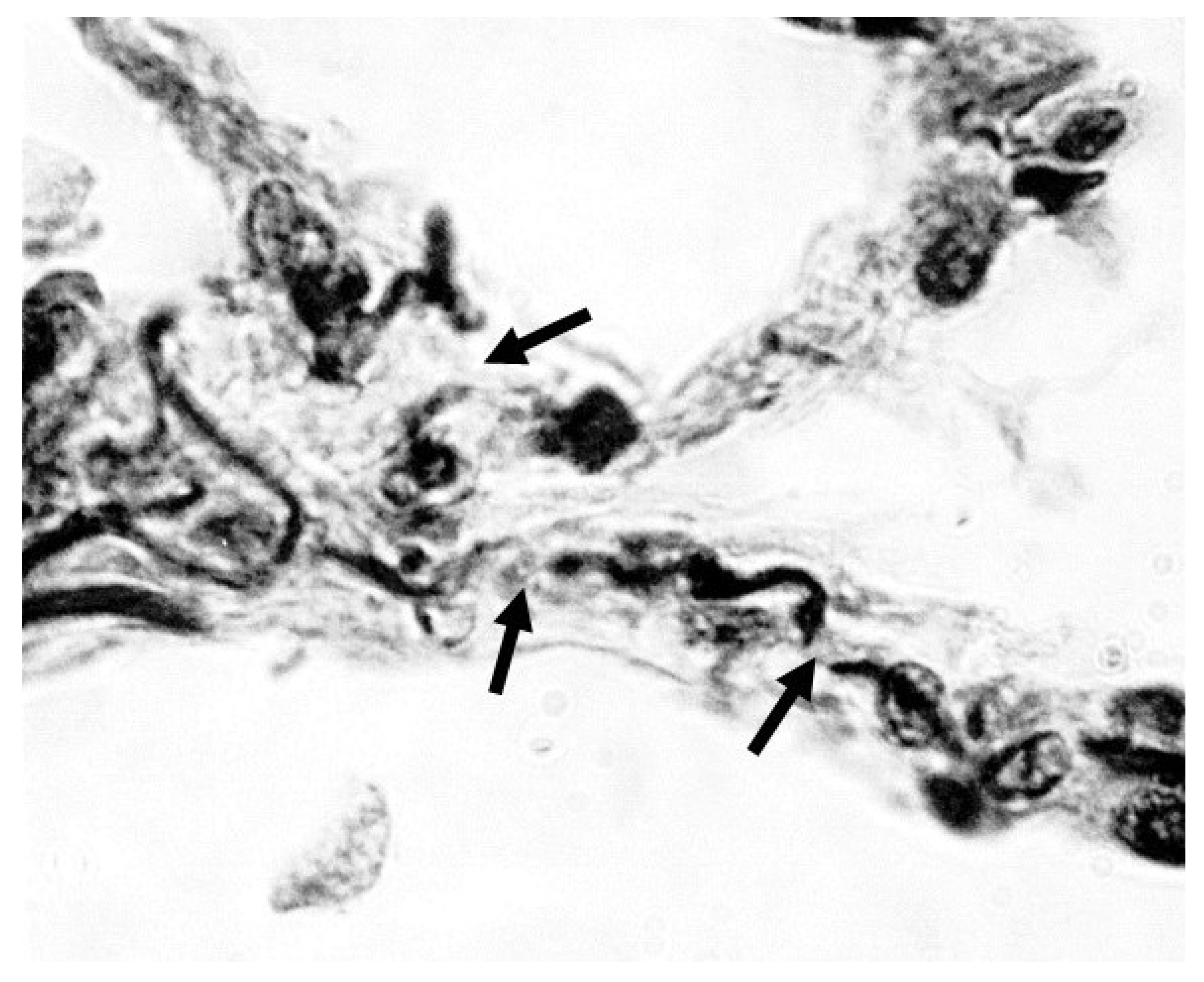 Preprints 179221 g001