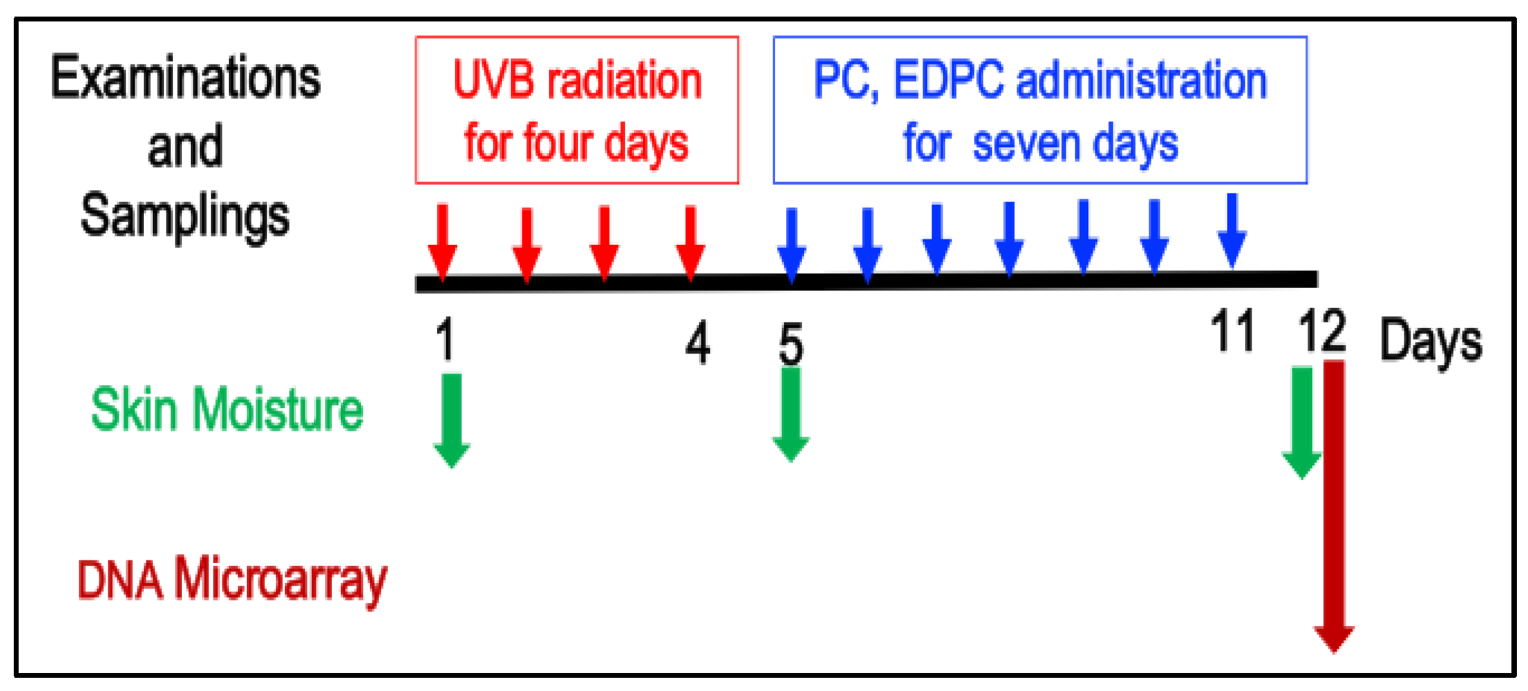 Preprints 191589 g001