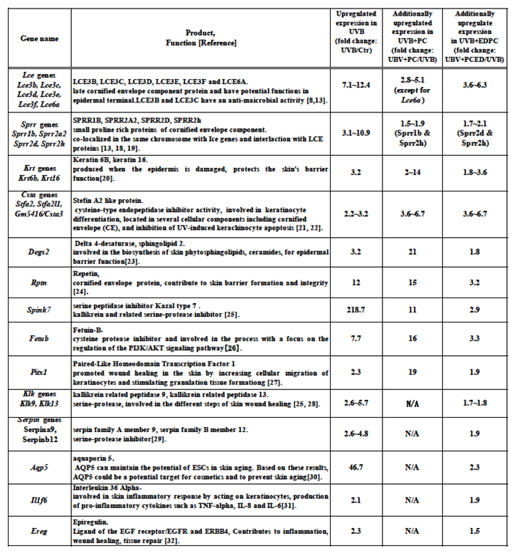 Preprints 191589 i001
