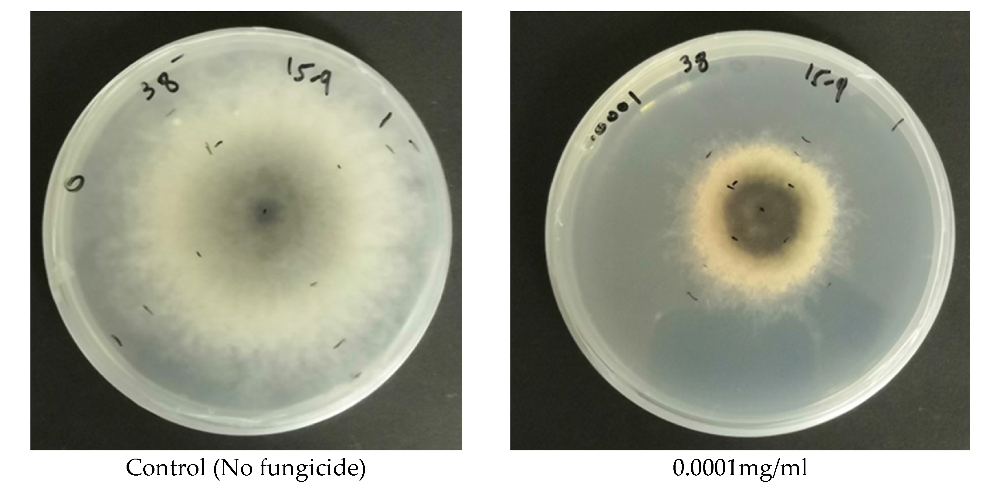 Preprints 197830 g005a