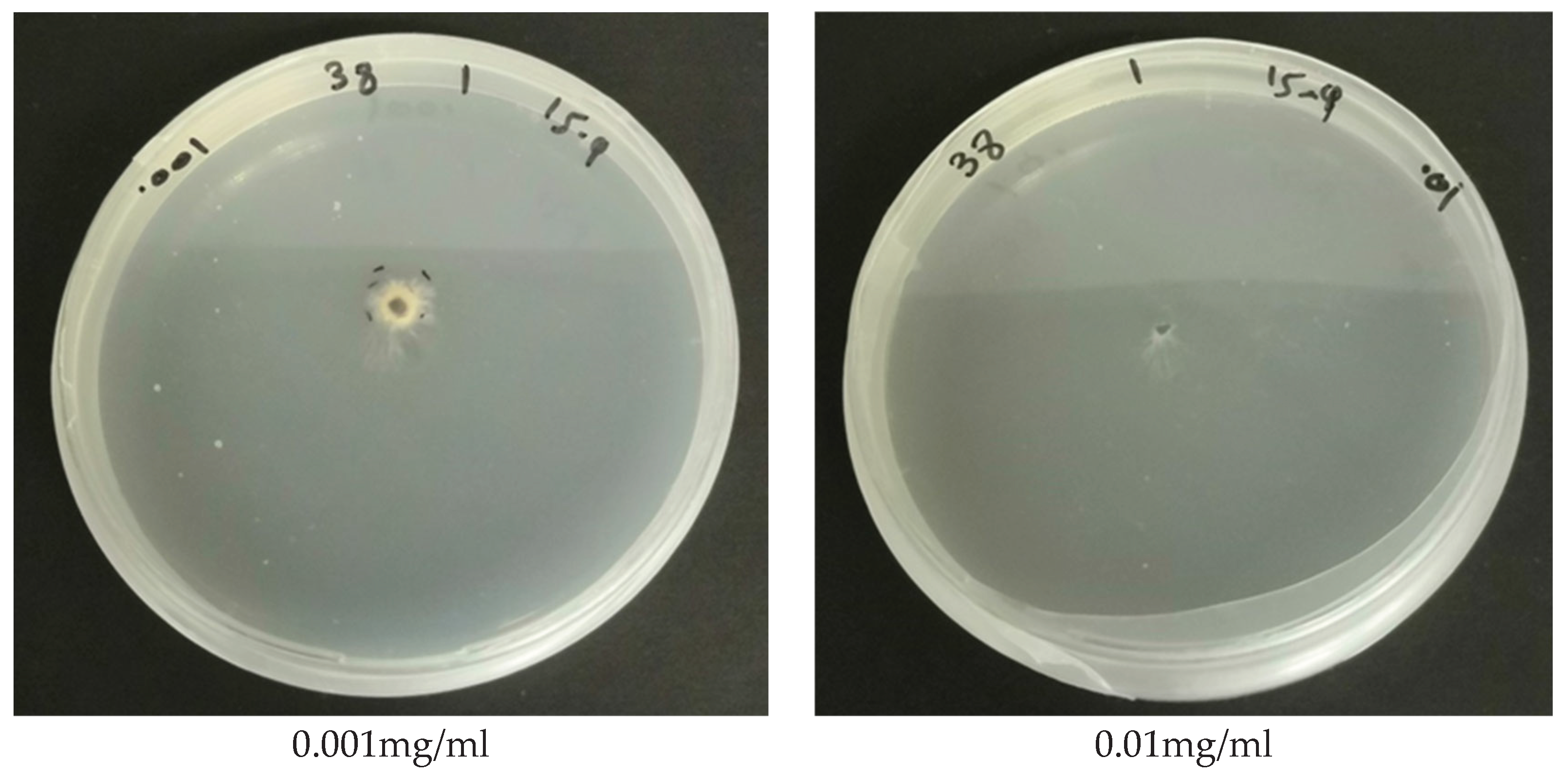 Preprints 197830 g005b