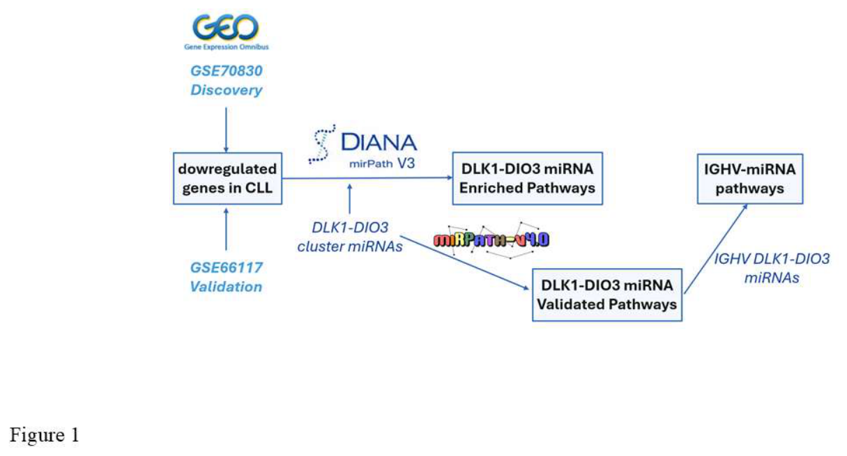 Preprints 219726 g001
