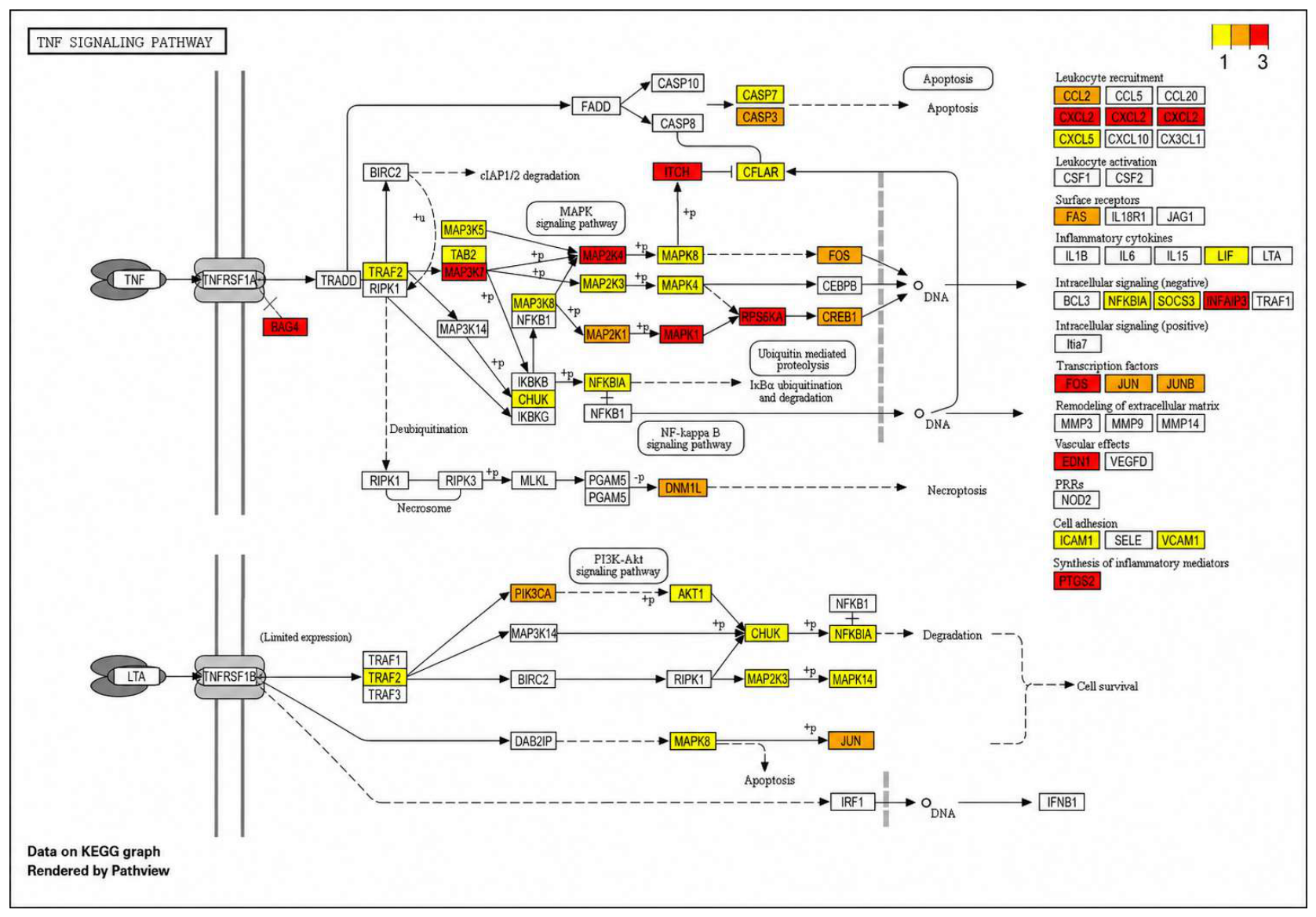 Preprints 219726 g004