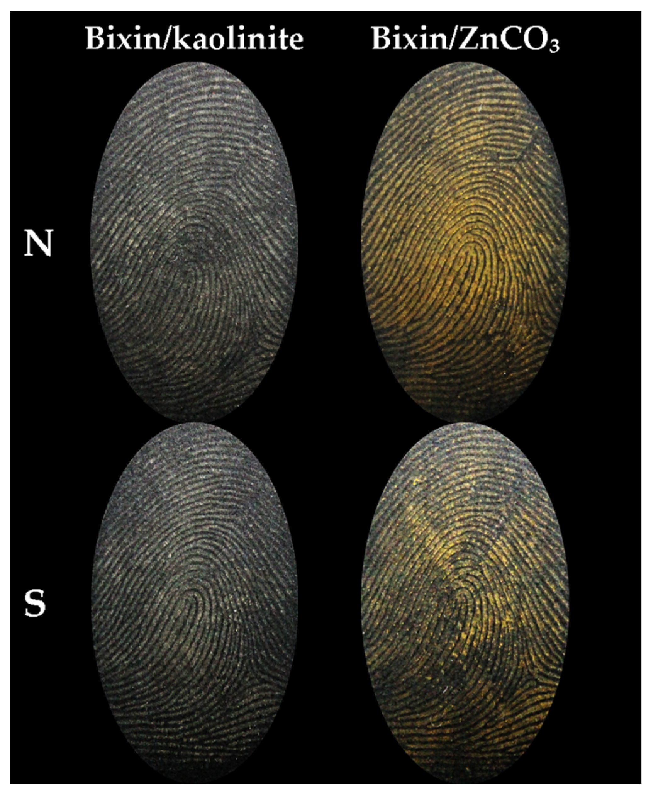 Preprints 96417 g004