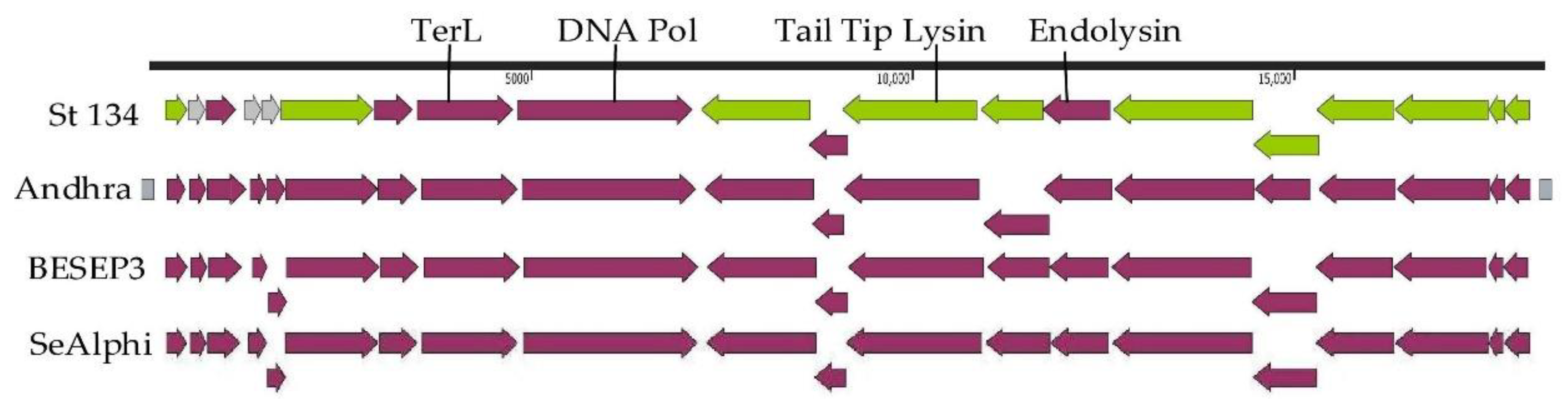 Preprints 94046 g003