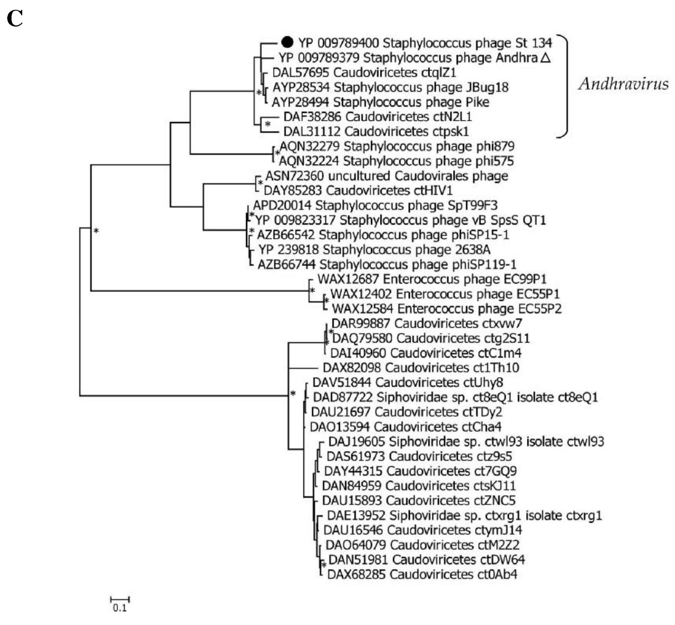 Preprints 94046 g005b