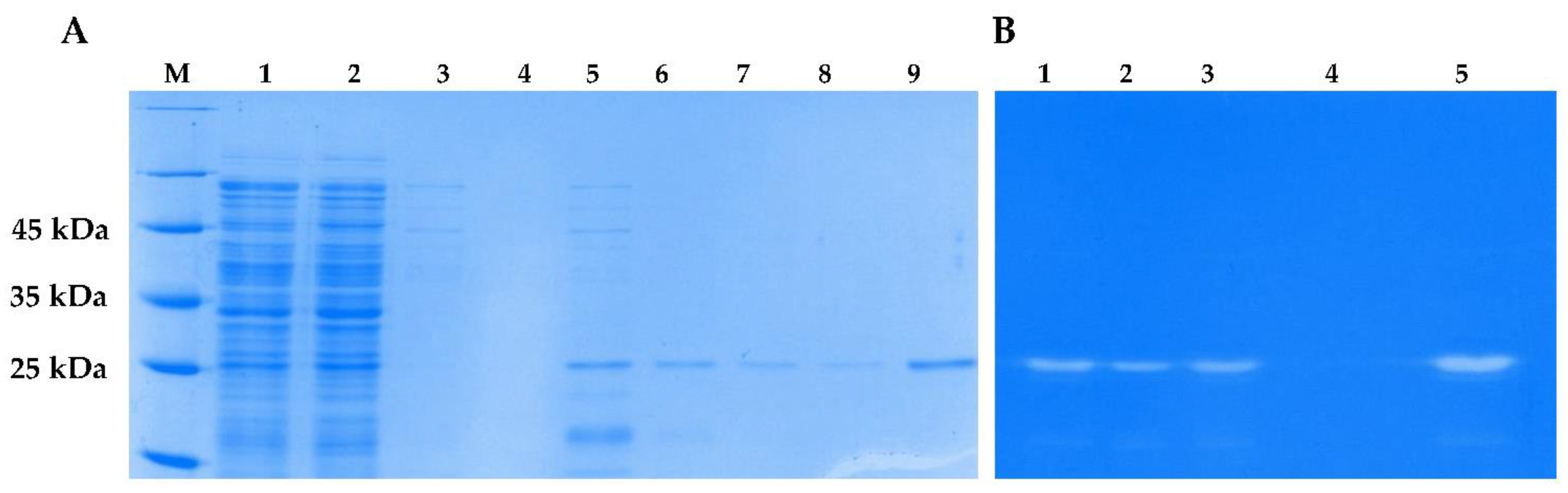 Preprints 94046 g007