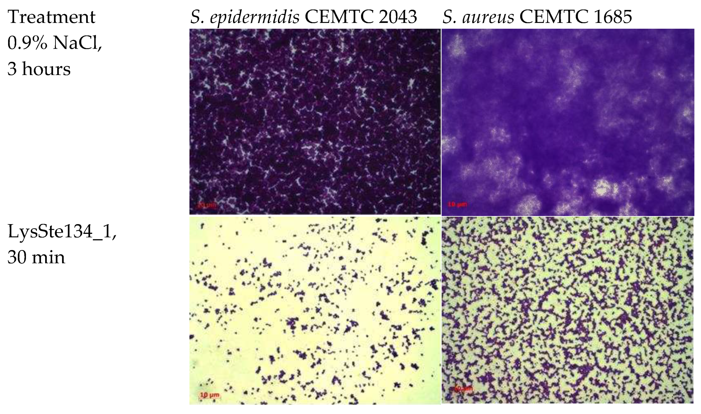 Preprints 94046 g010a
