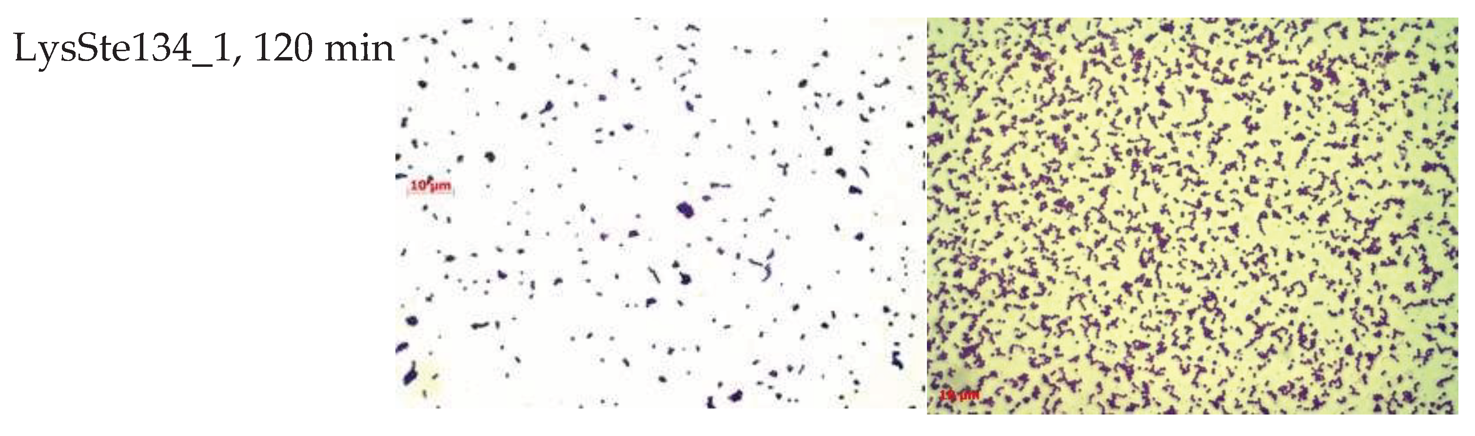 Preprints 94046 g010b