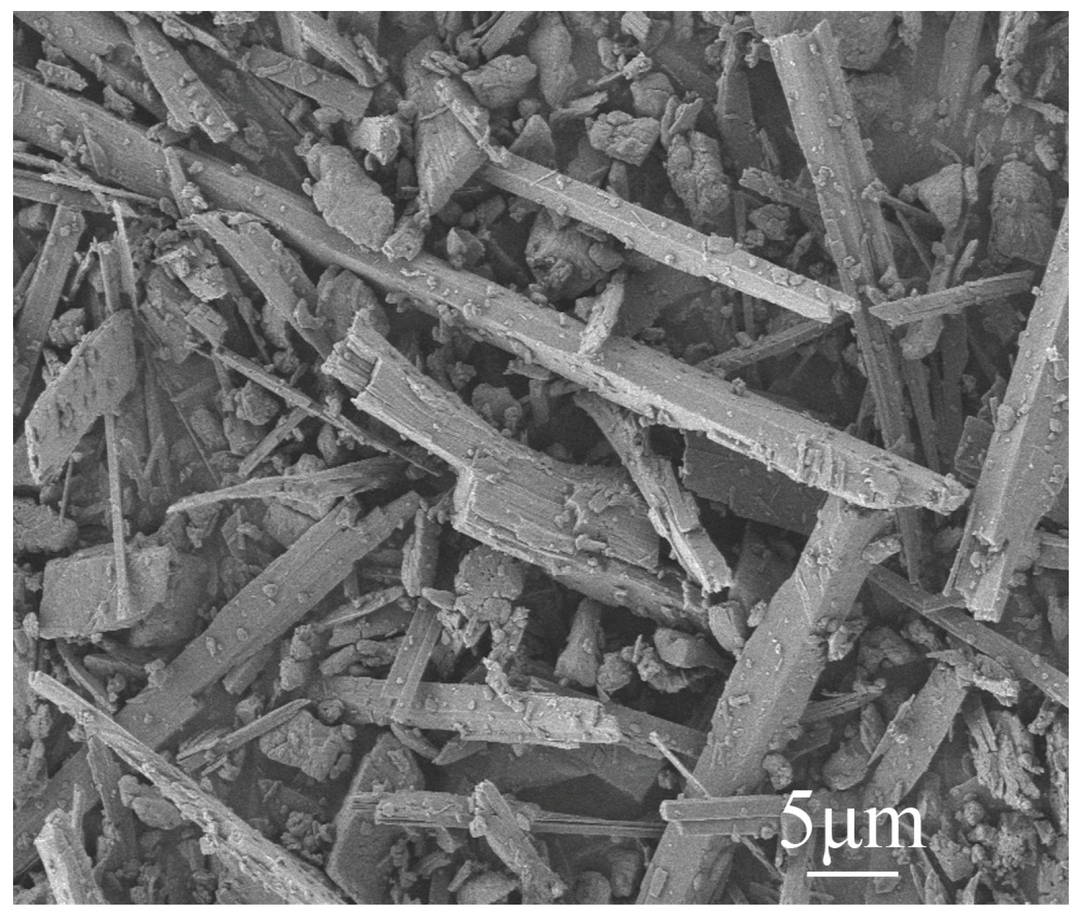 Preprints 99256 g004