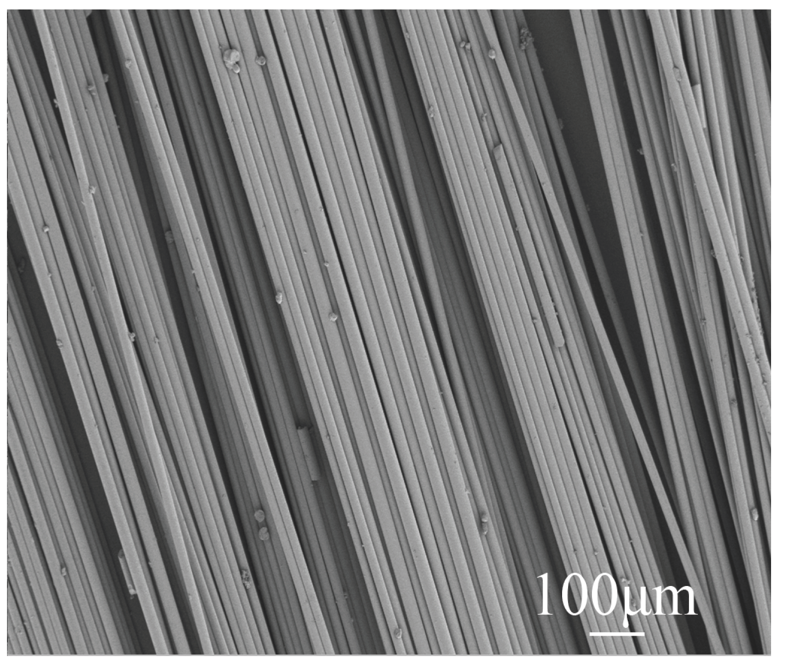 Preprints 99256 g005