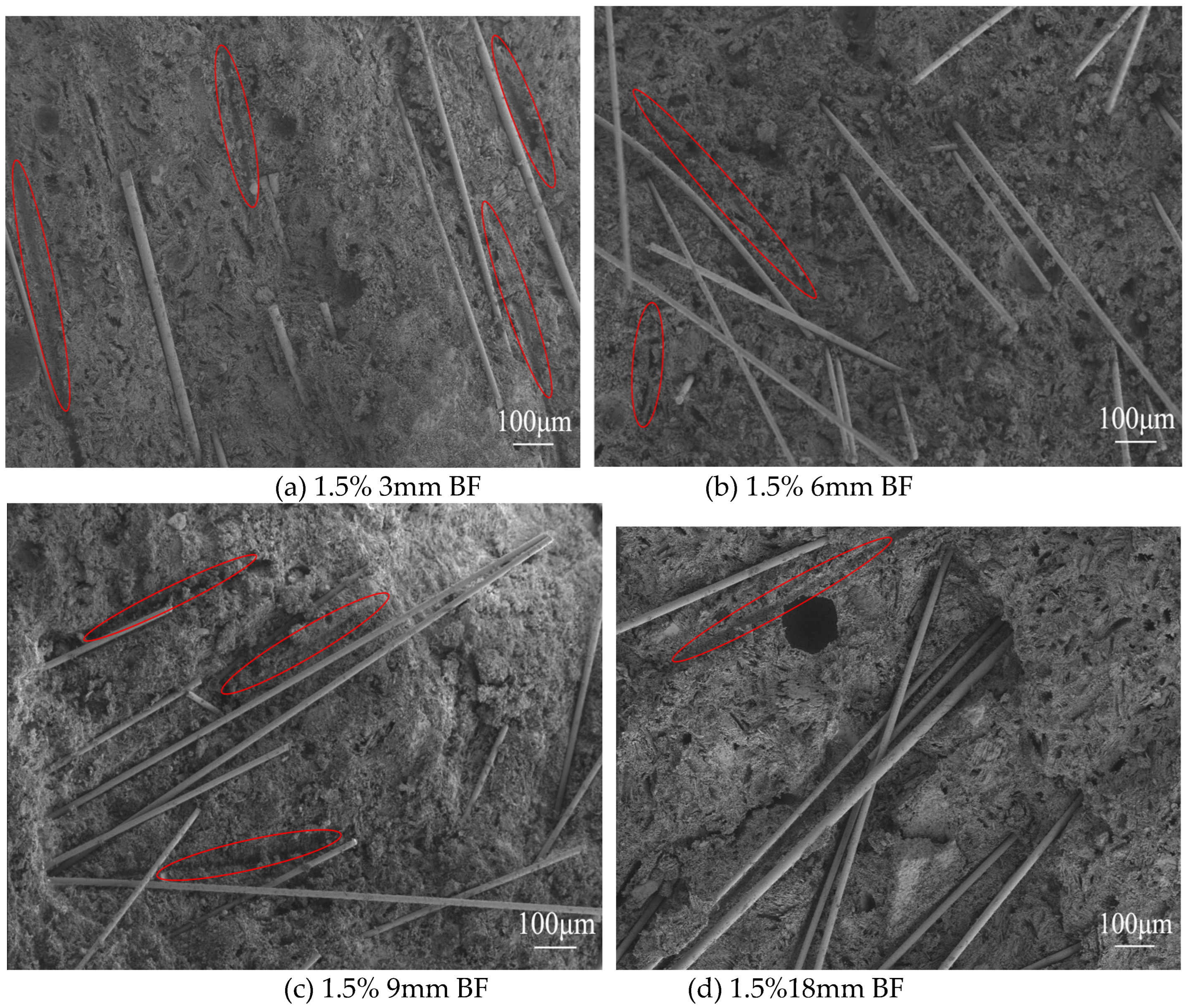 Preprints 99256 g018a