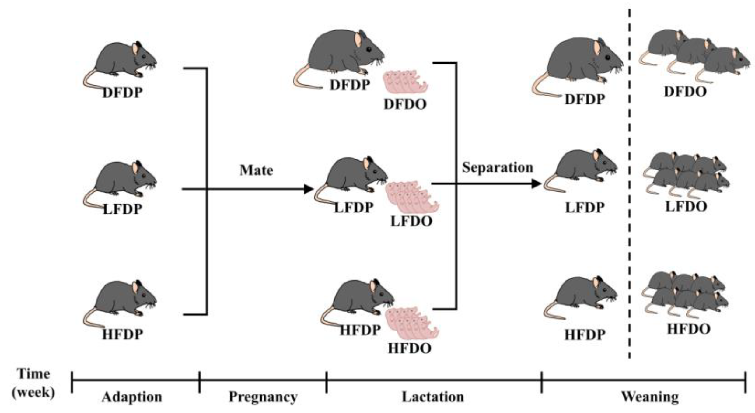Preprints 147276 g001
