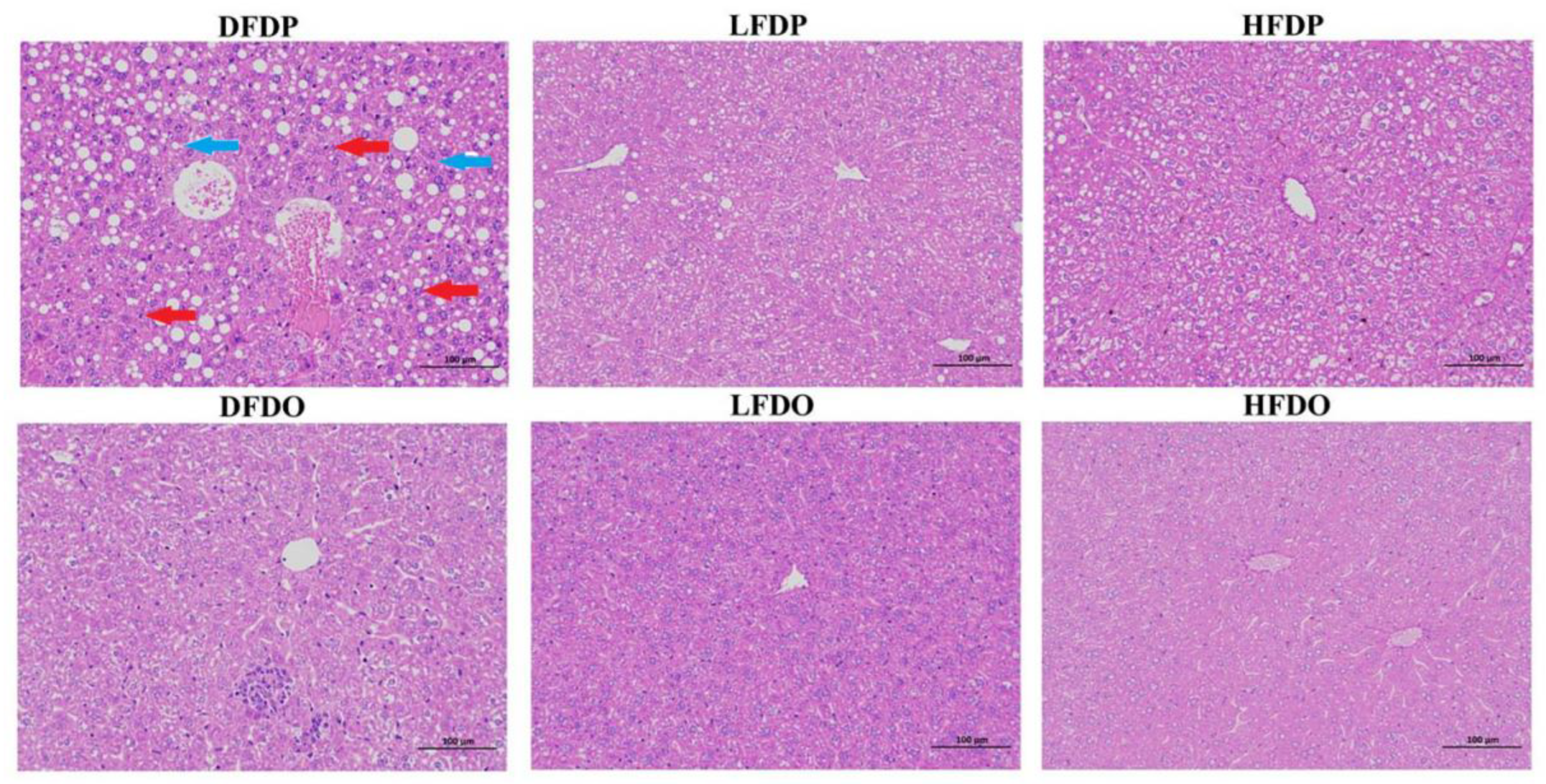 Preprints 147276 g006