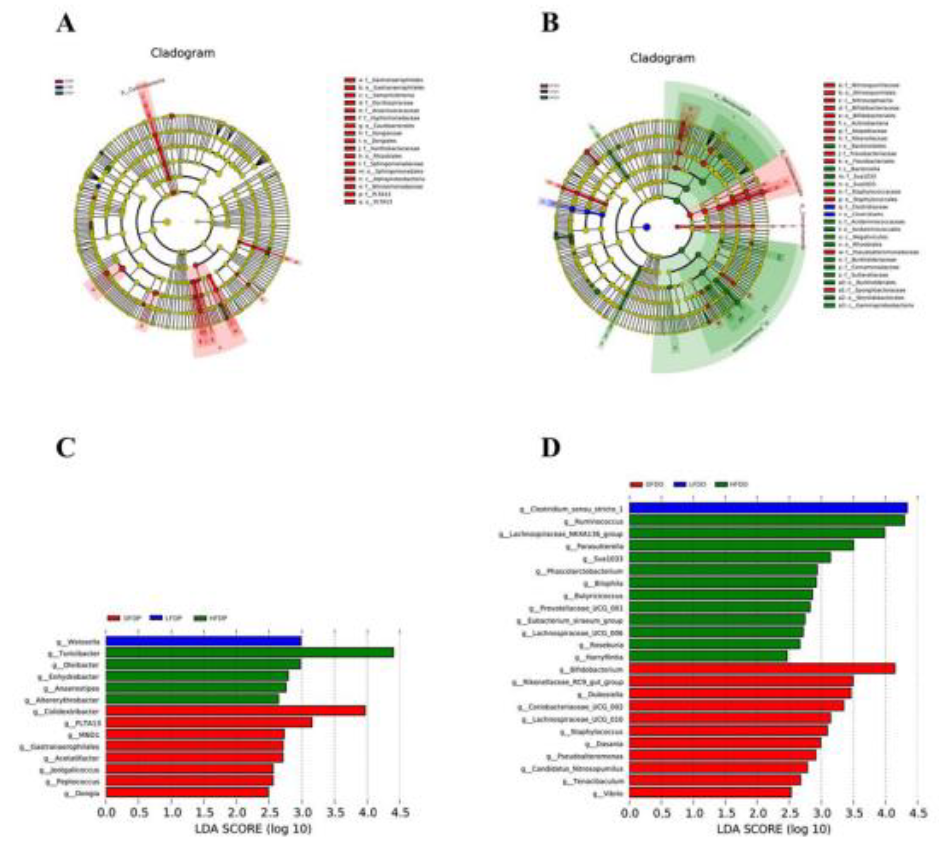 Preprints 147276 g011