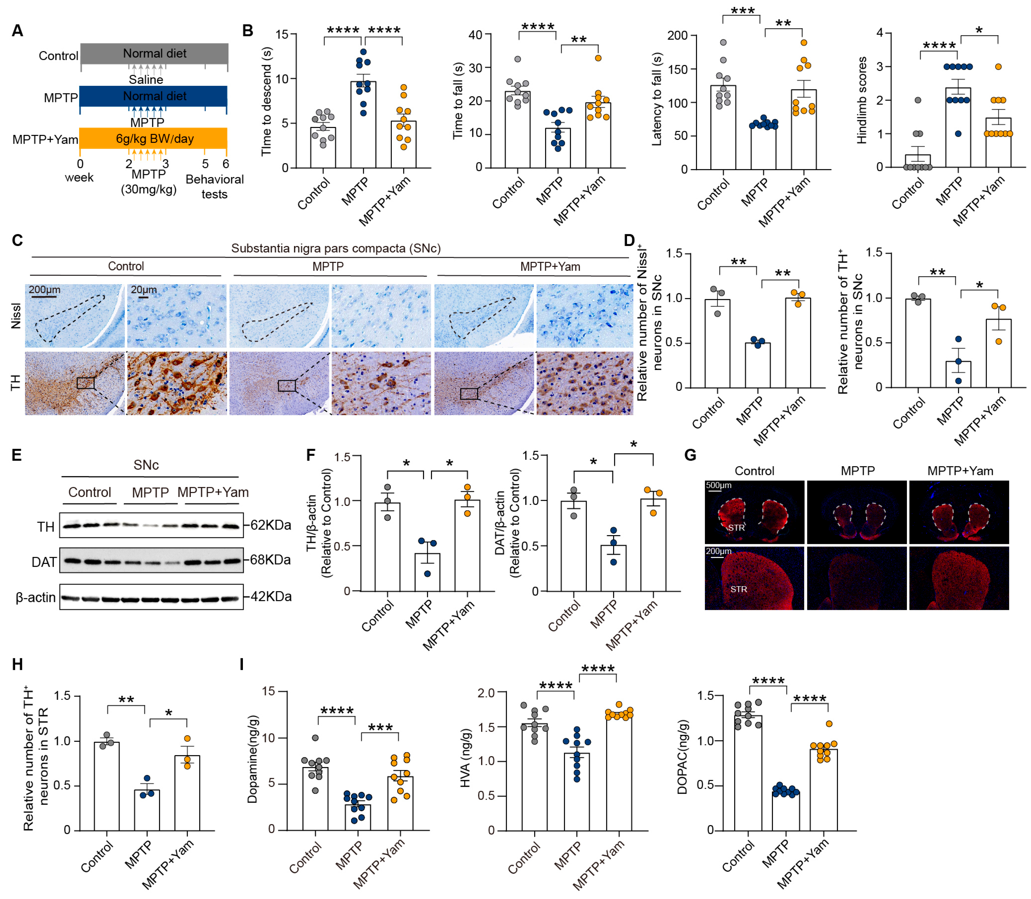 Preprints 203748 g001
