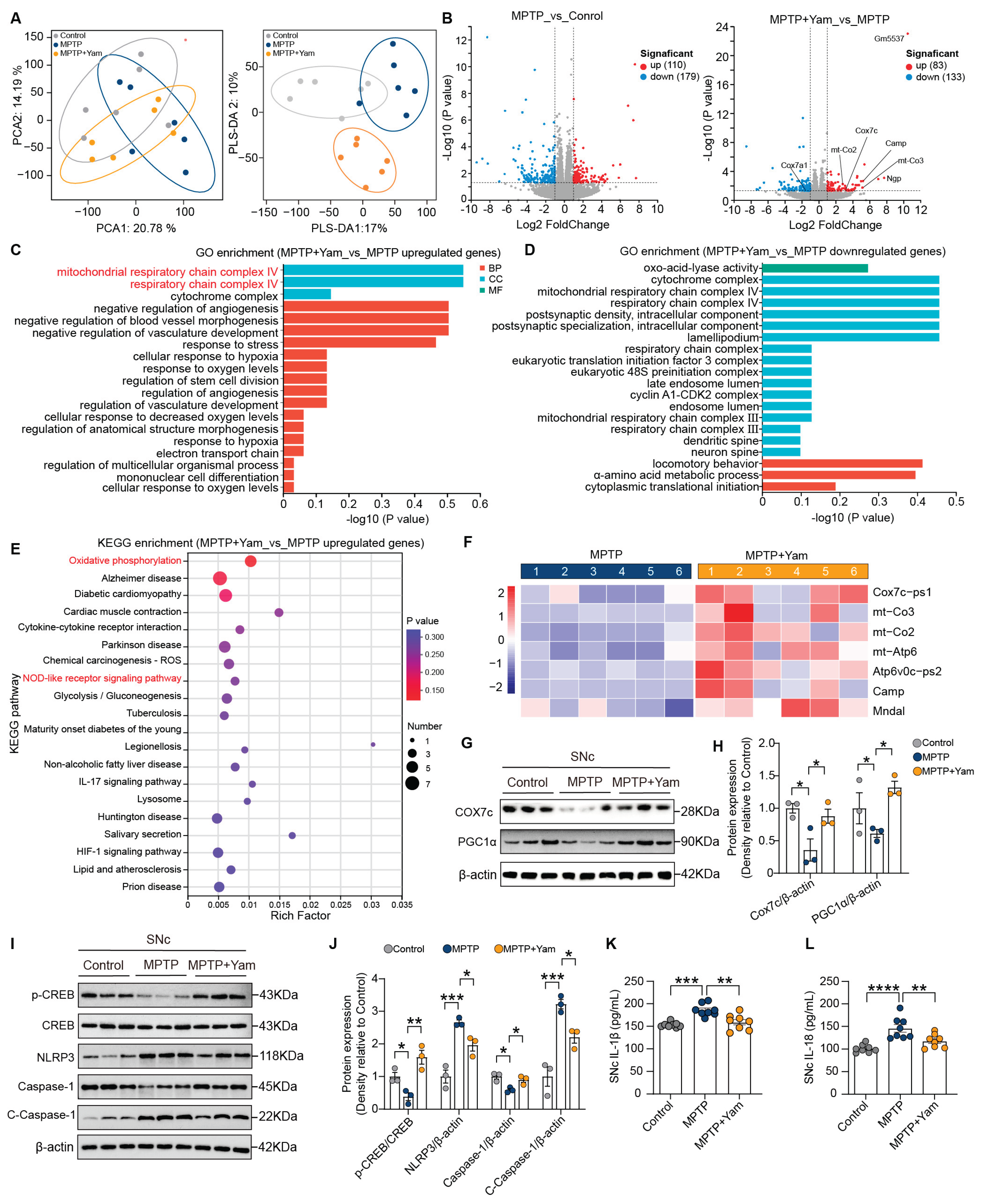 Preprints 203748 g005