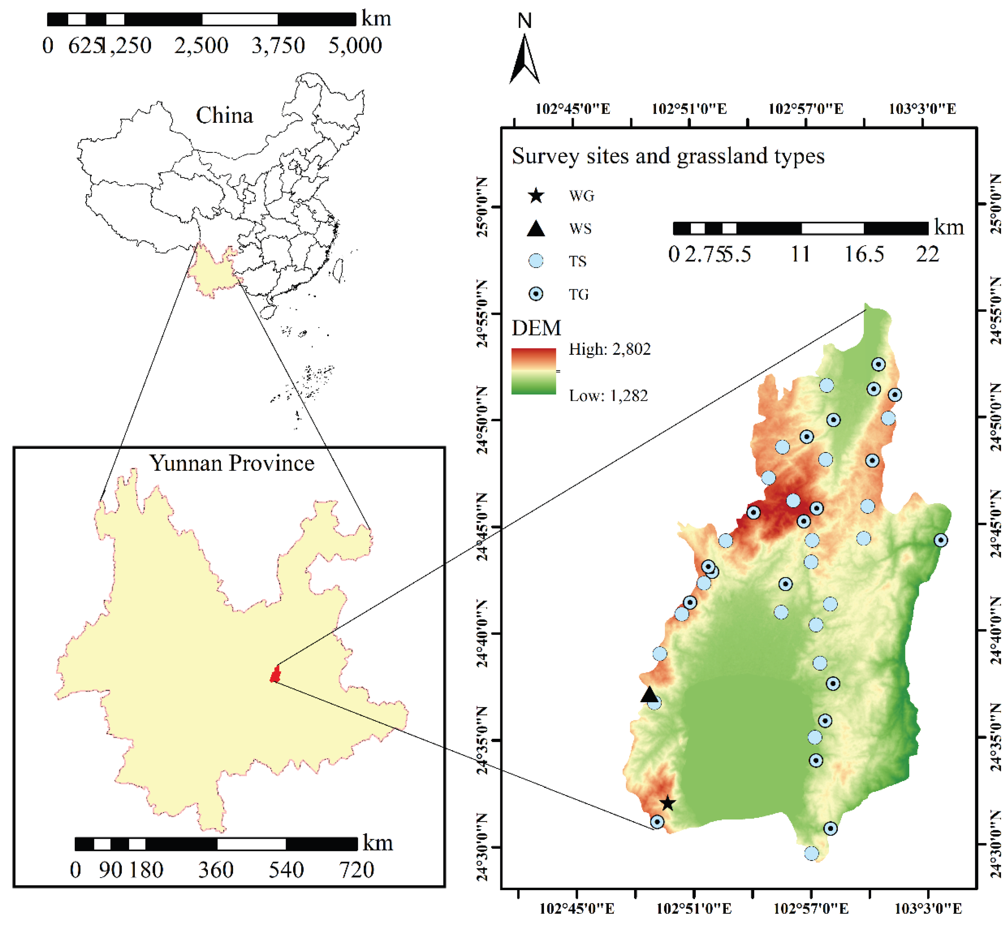 Preprints 196581 g001