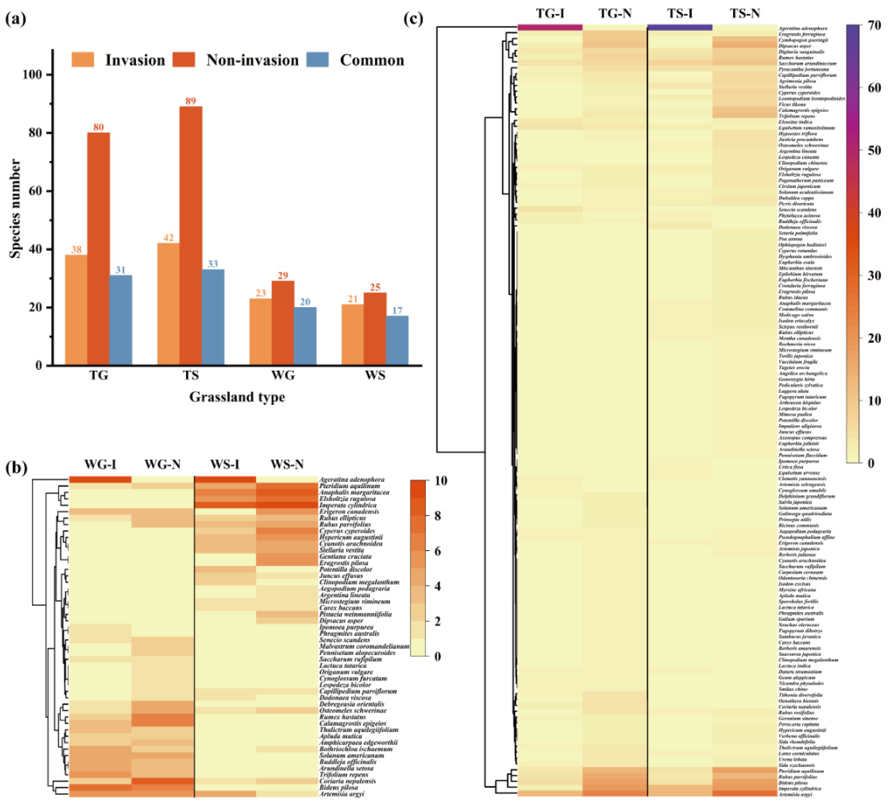 Preprints 196581 g004