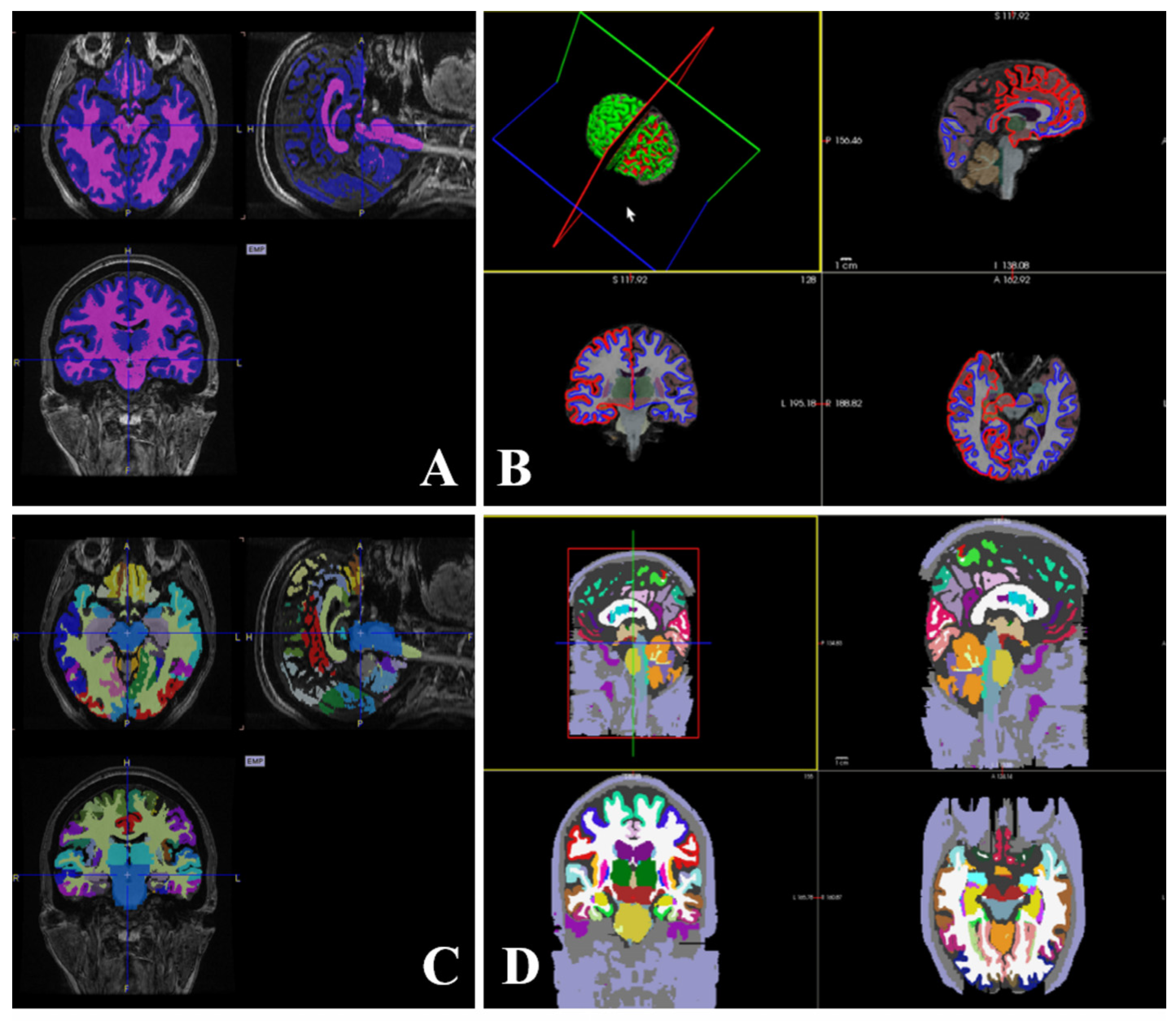 Preprints 143029 g002