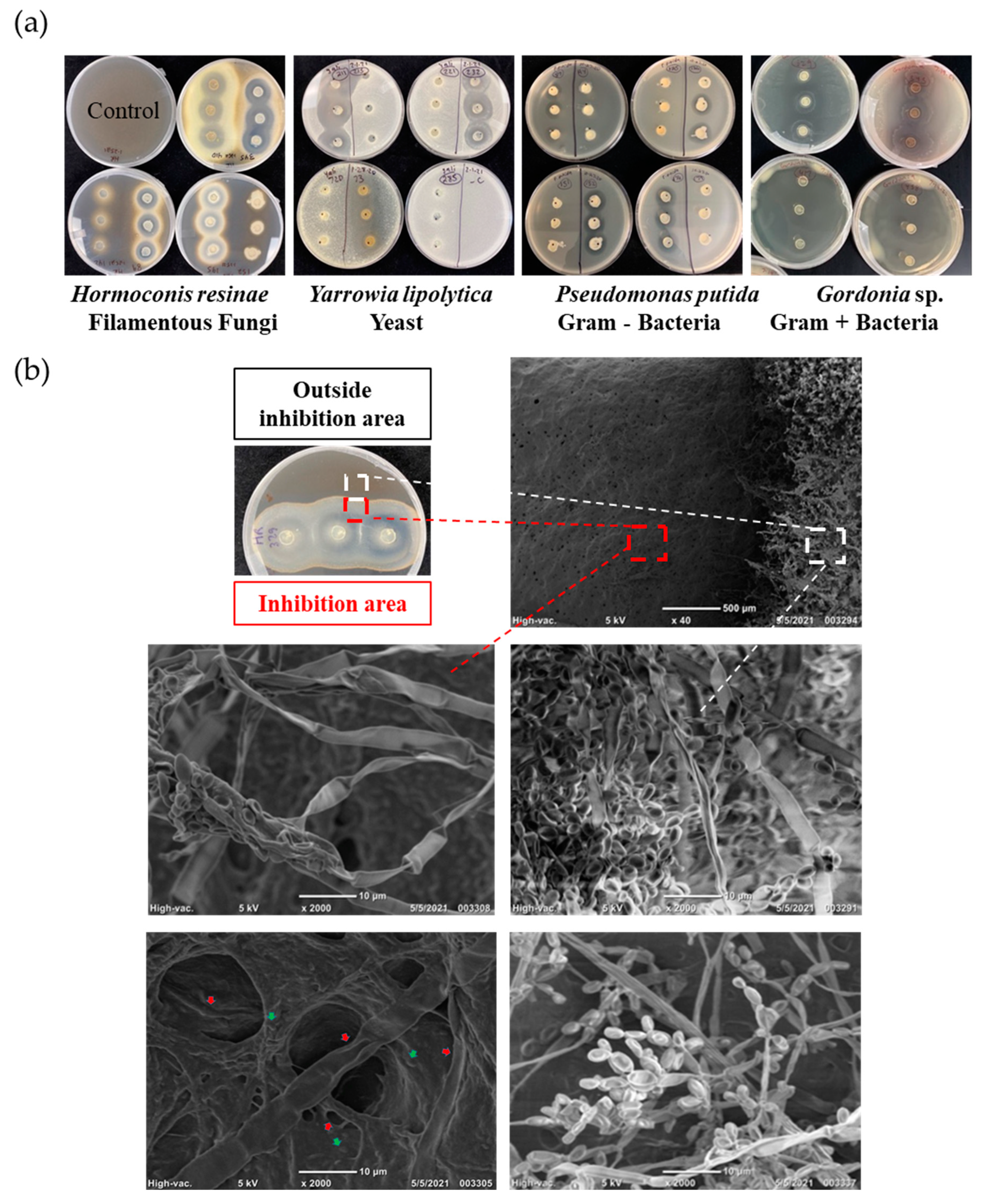 Preprints 140230 g001