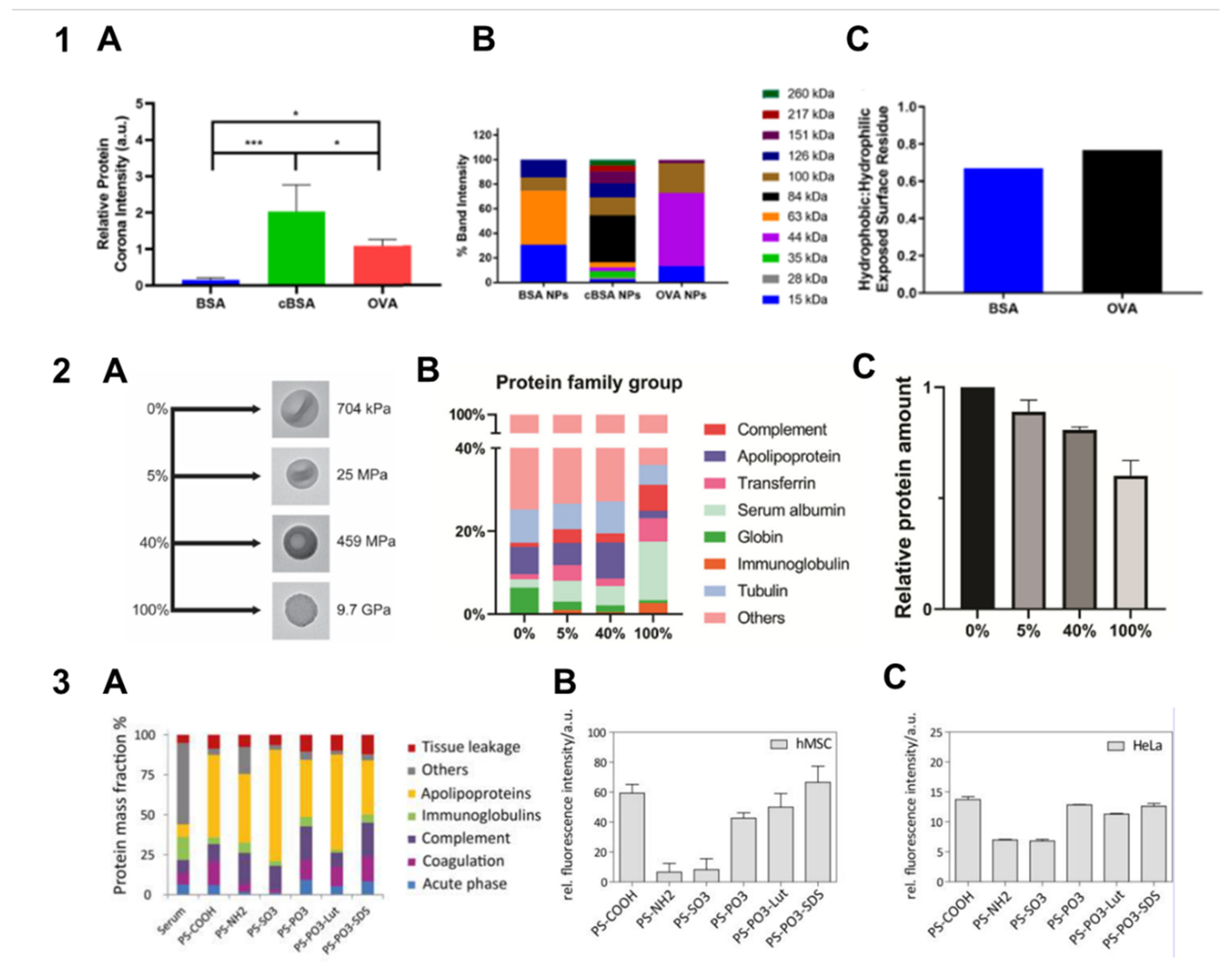Preprints 153074 g002