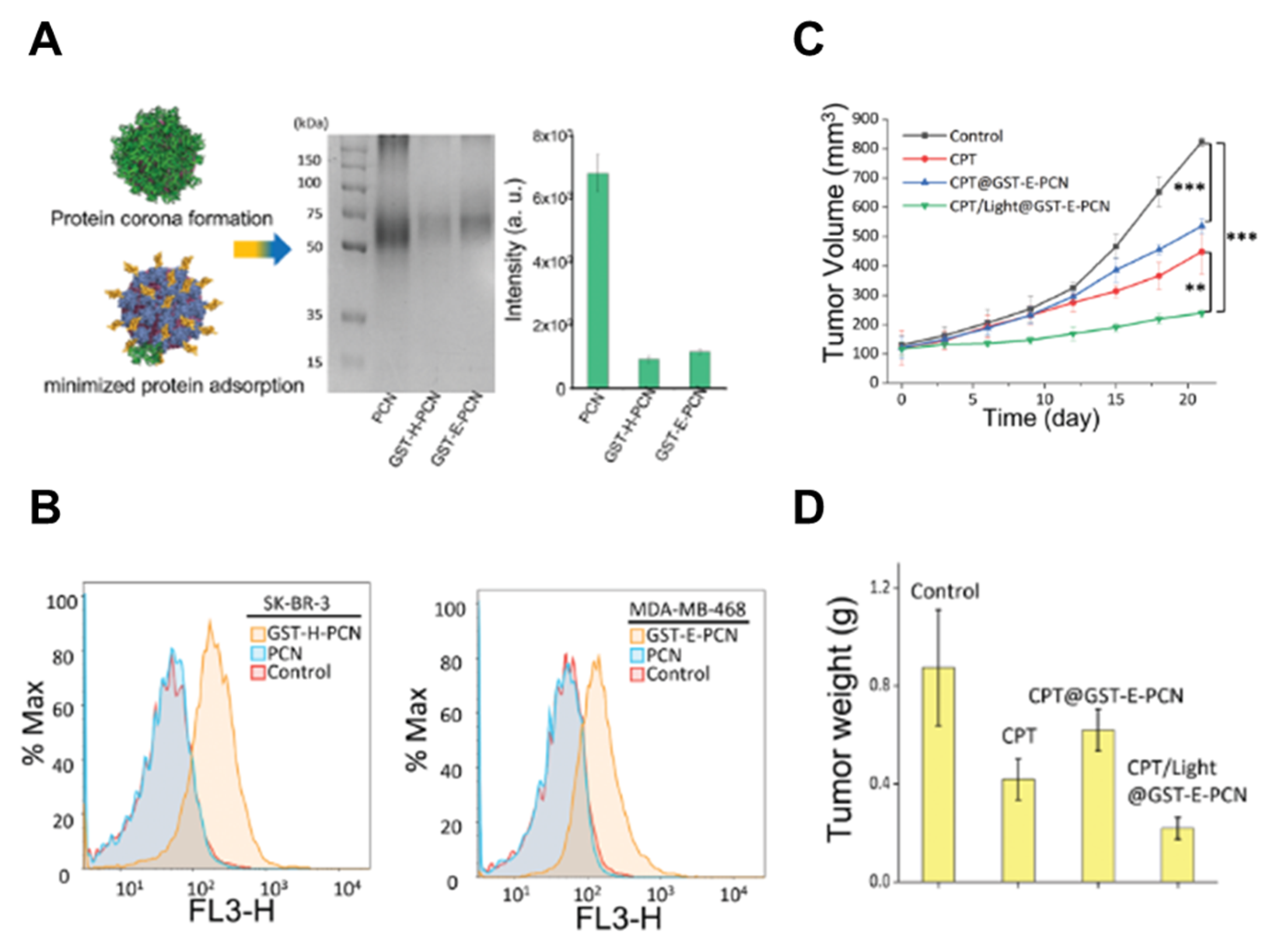 Preprints 153074 g004