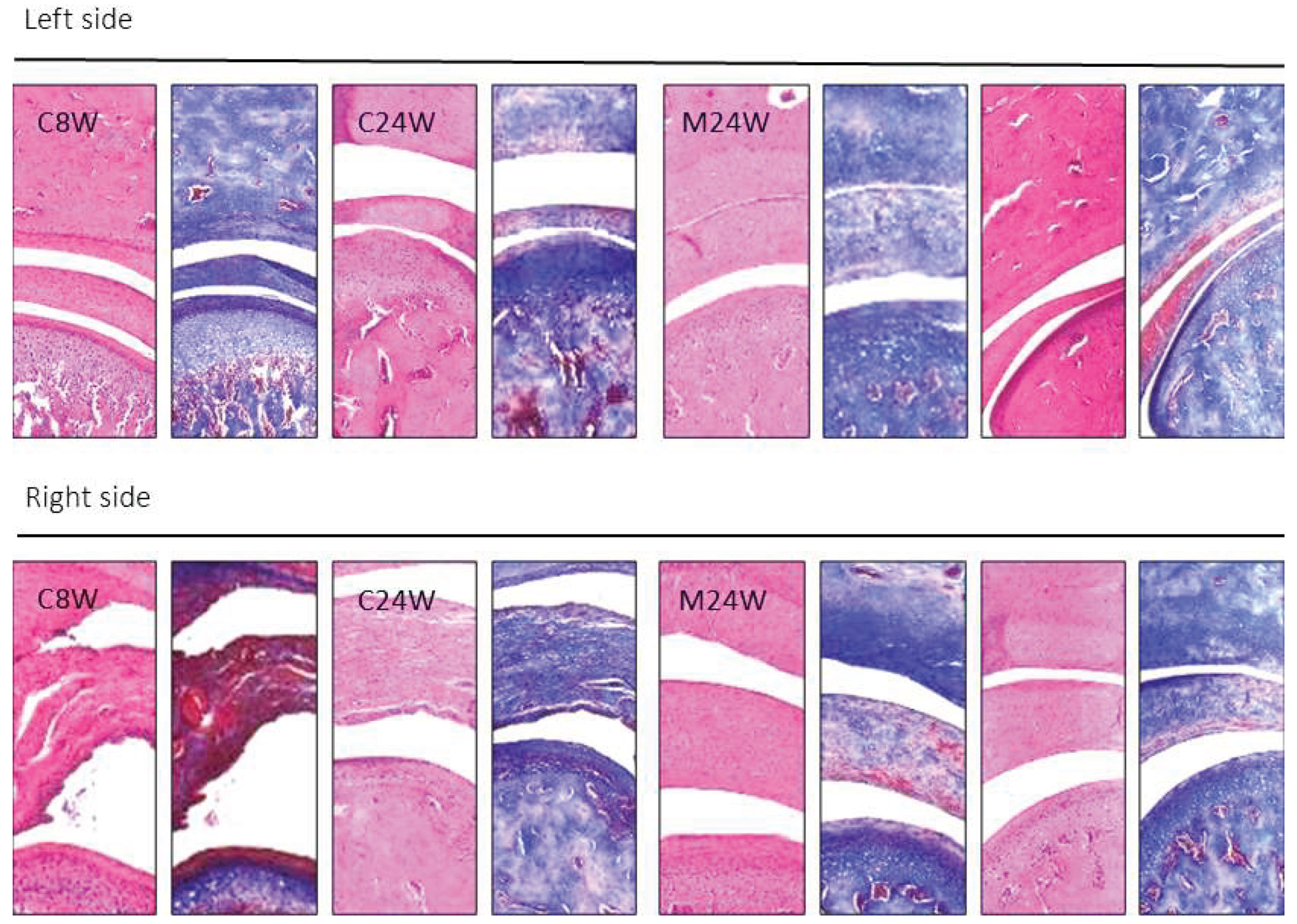 Preprints 231326 g004
