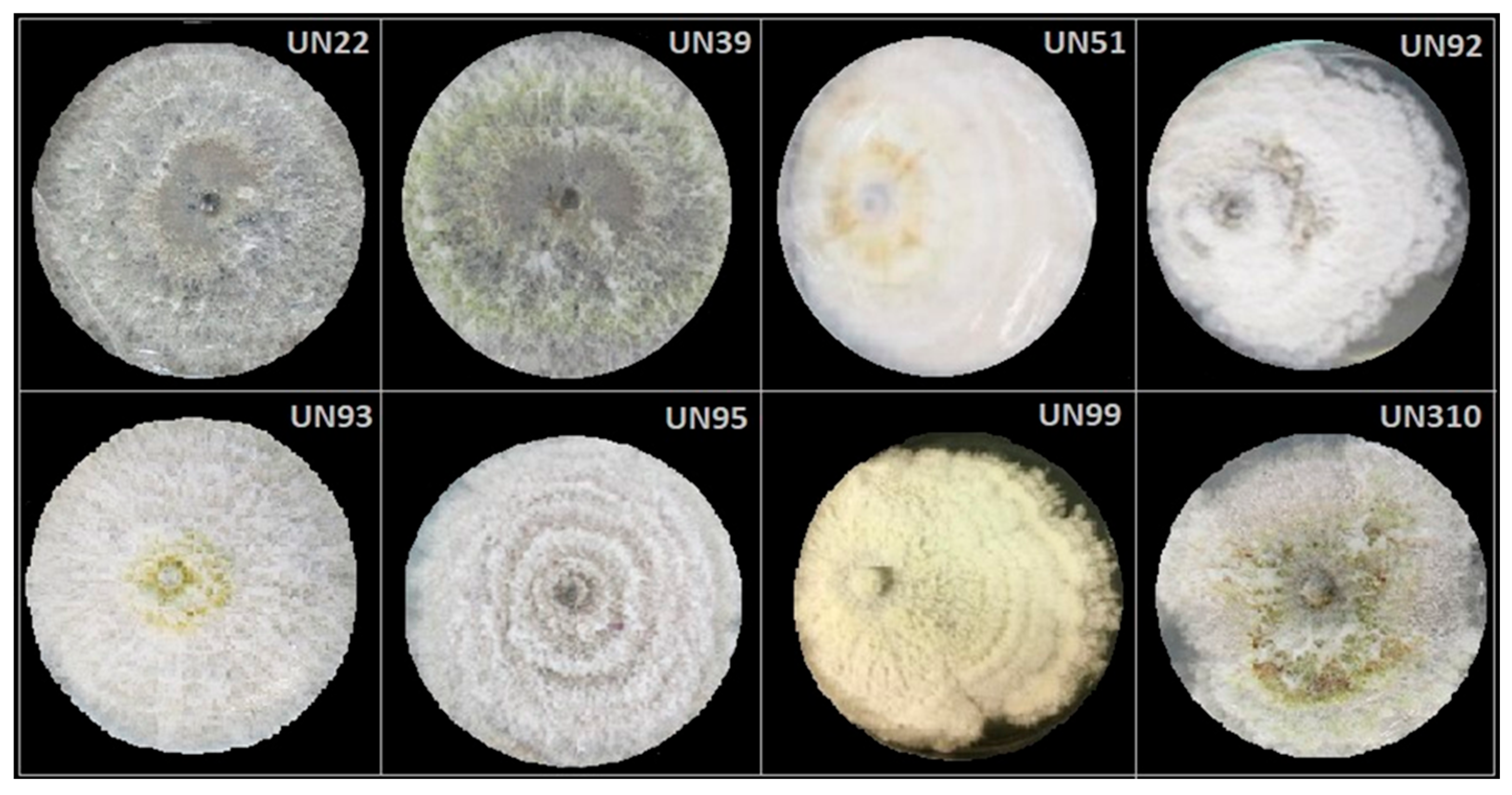 Preprints 189006 g003