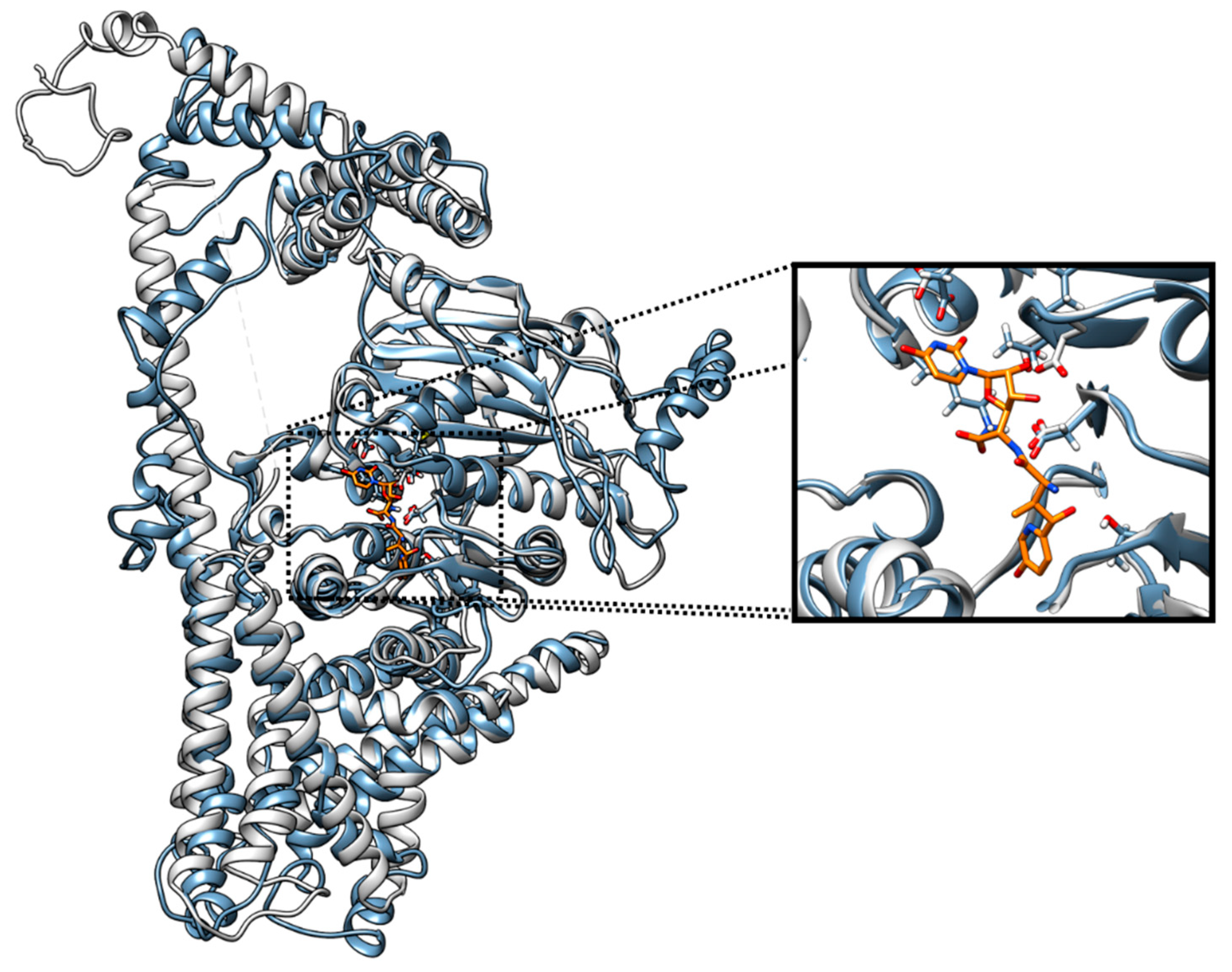 Preprints 189006 g005